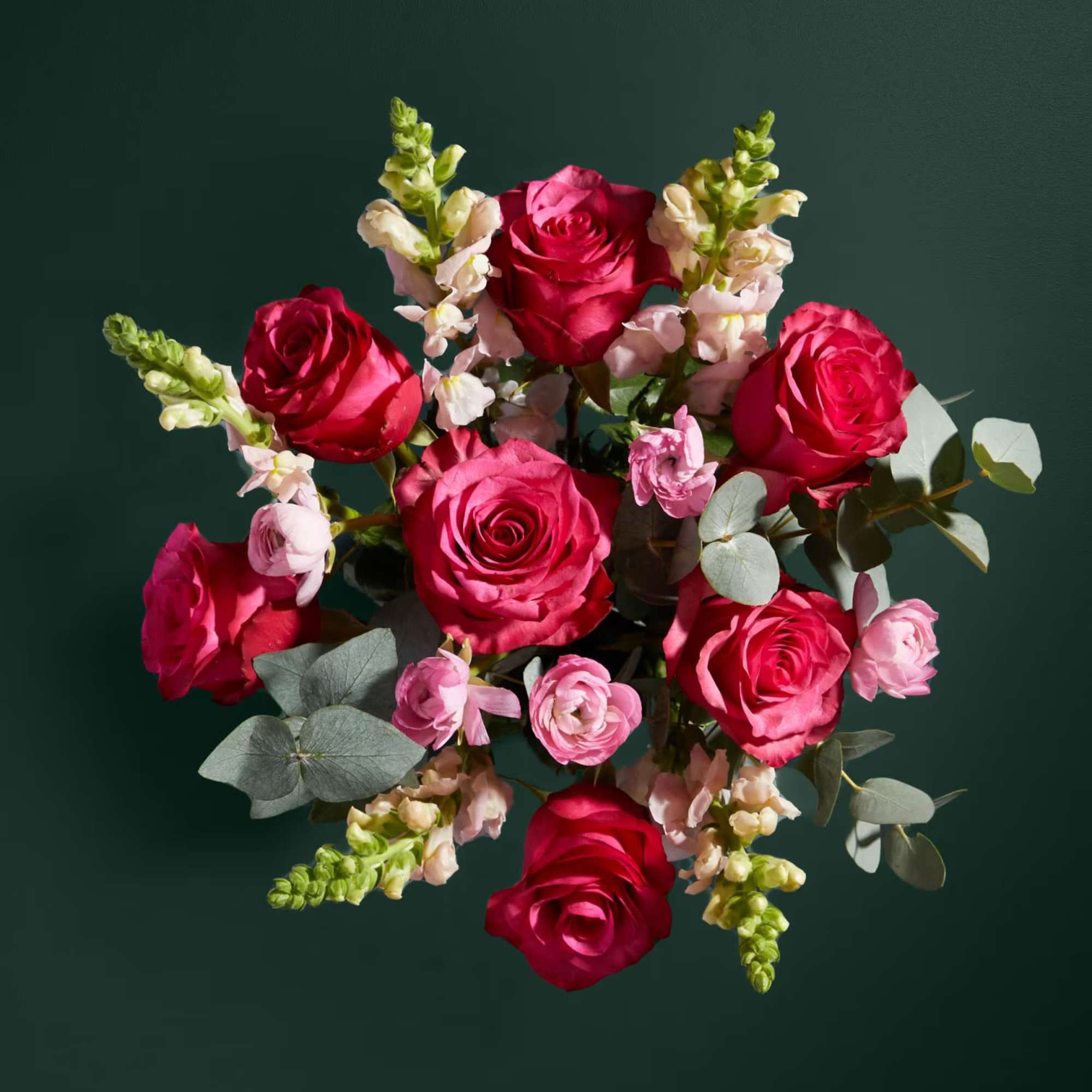 Bouquet of pink and red roses with pale snapdragons