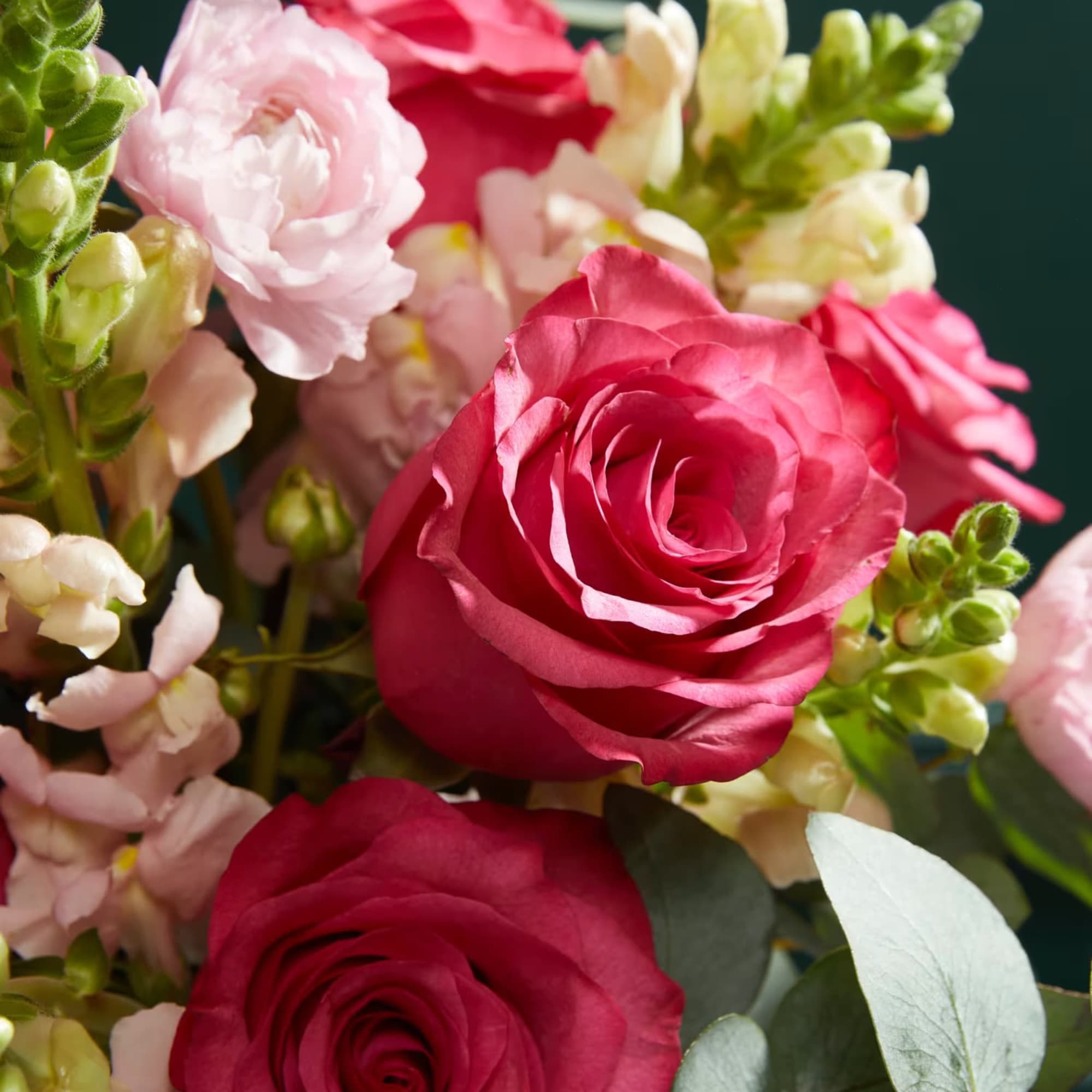 Pink and red roses with pale snapdragons in a bouquet