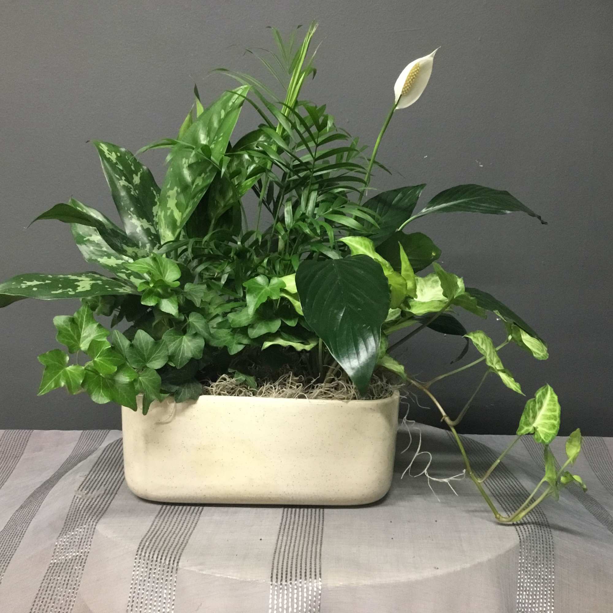 Send an E-gift card to your friend or family instantly whenever you