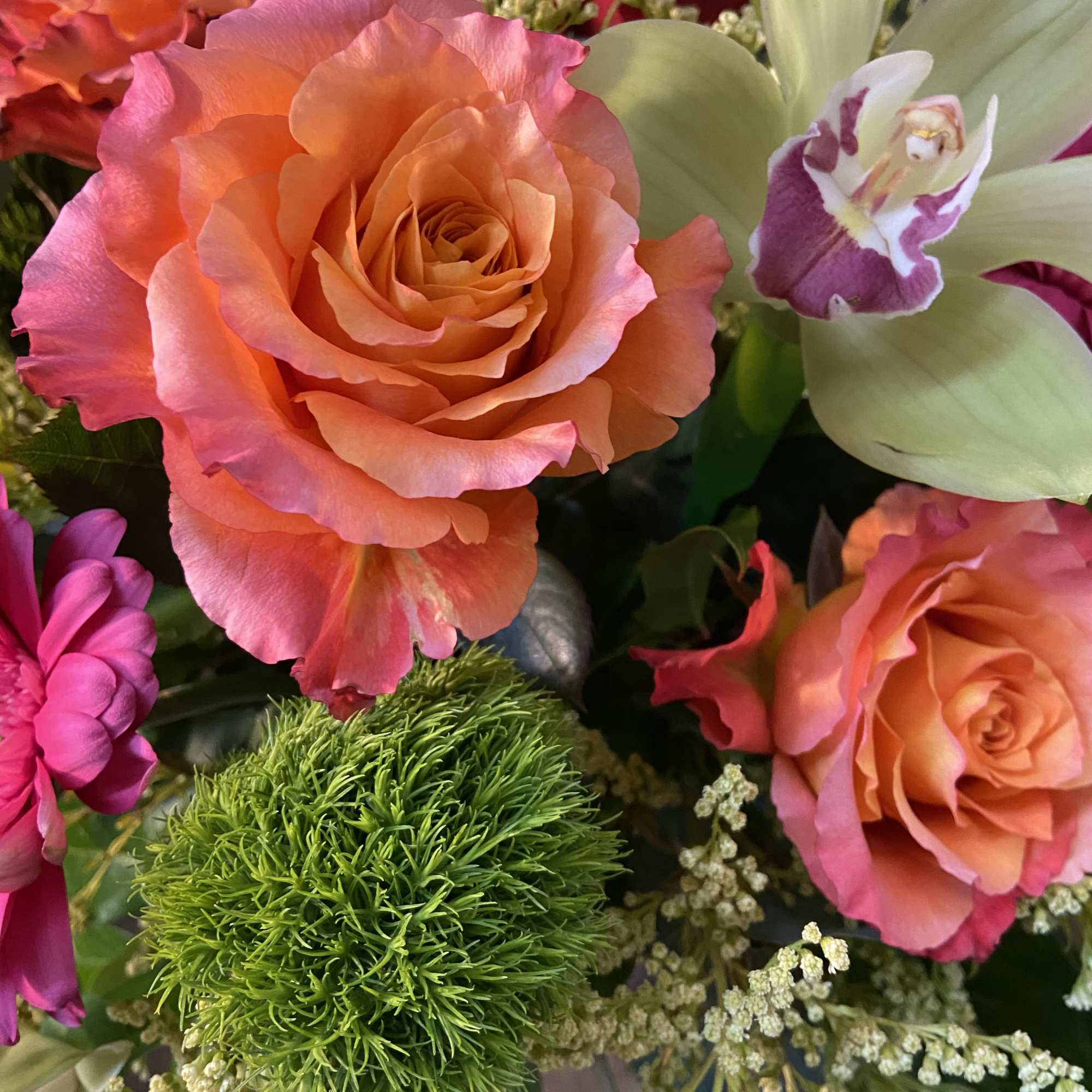 A wonderful mixture of red roses, hot pink gerber daisys, green dianthus