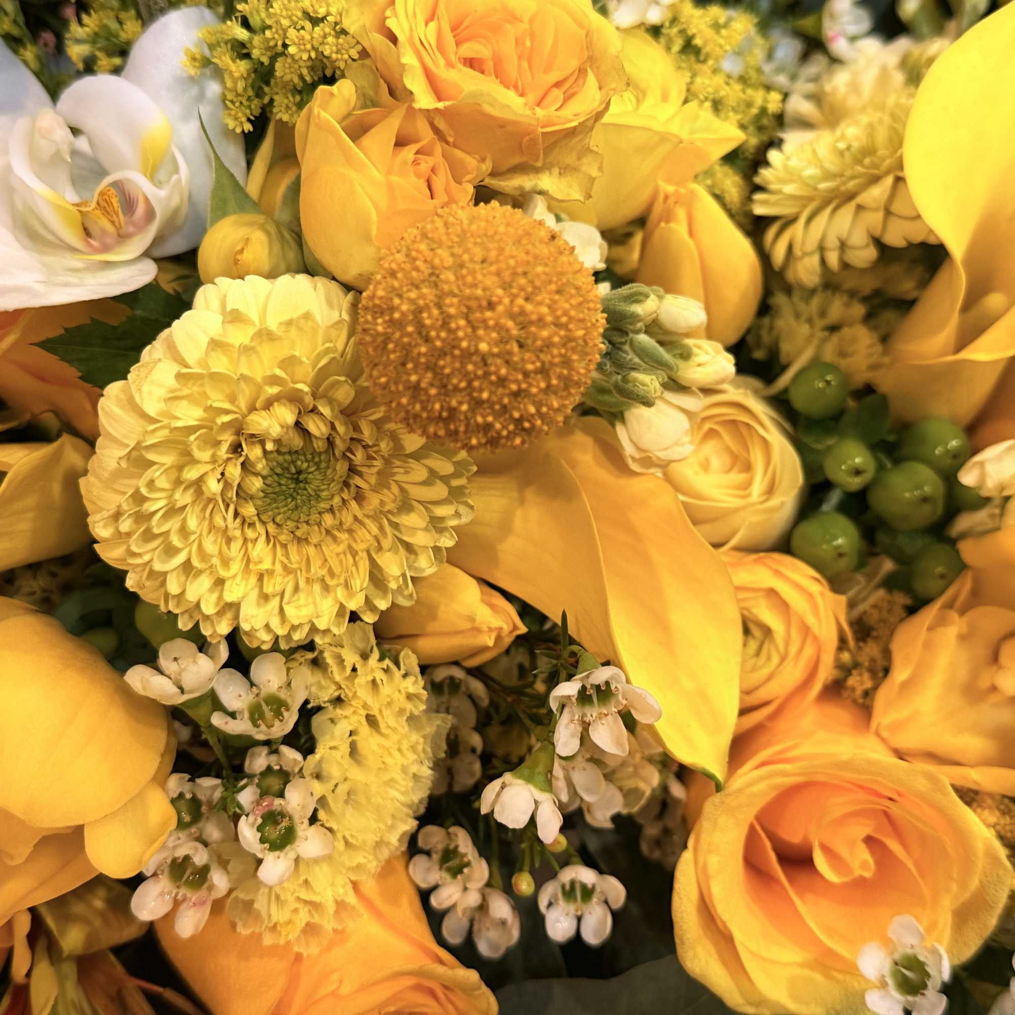 
A sophisticated blend of golden roses, sculptural calla lilies, seasonal blooms, and