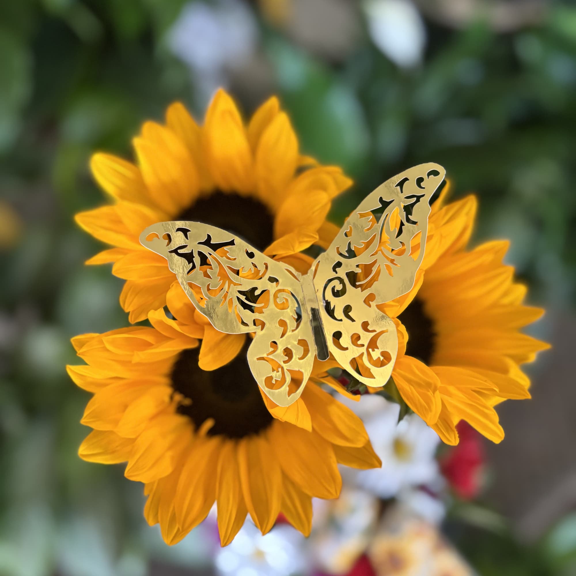 Fresh flowers in vase setting 