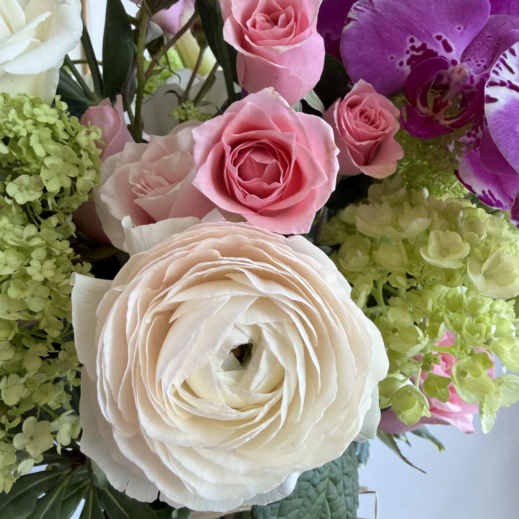 This arrangement is basically a floral reality show.
the Orchid is the dramatic