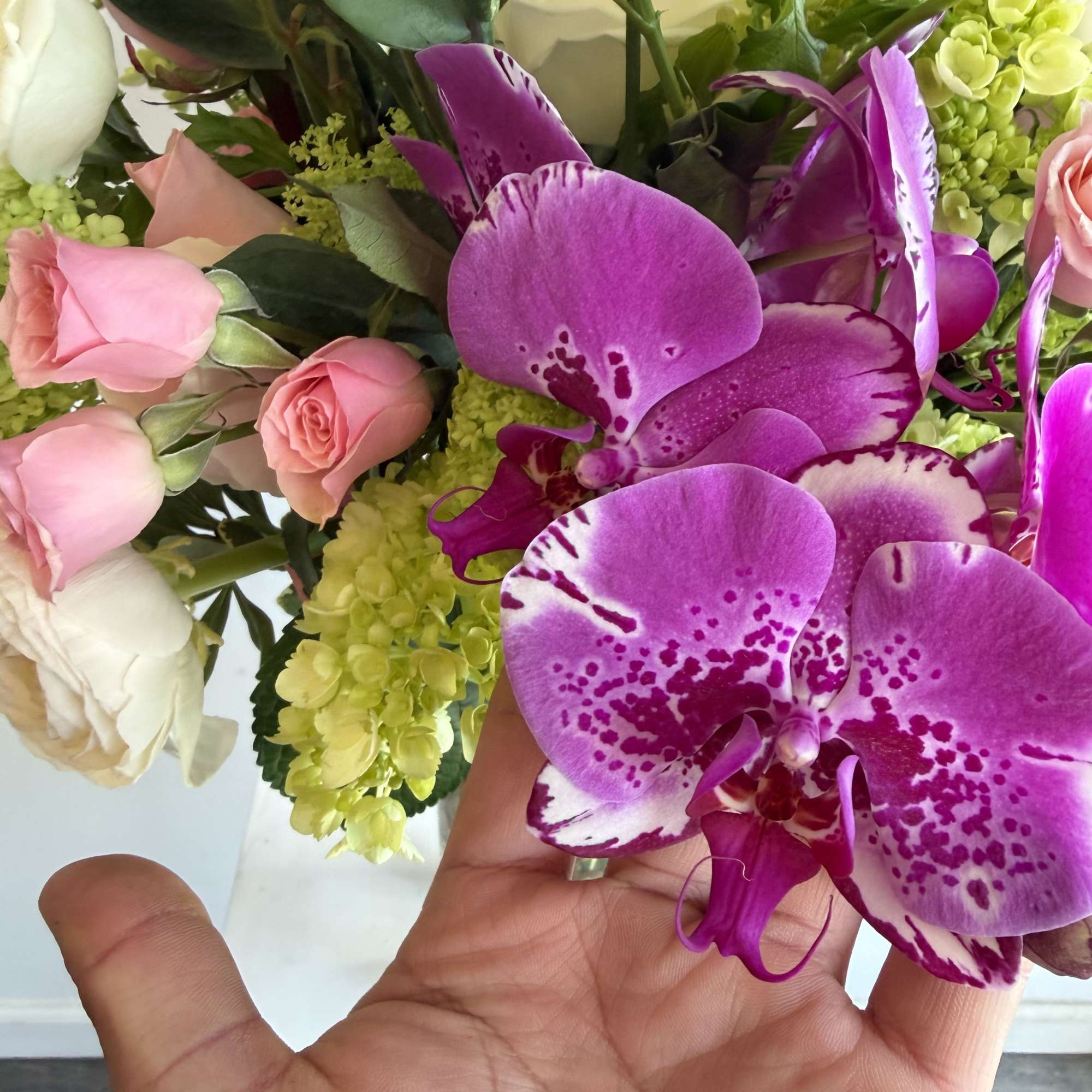 This arrangement is basically a floral reality show.
the Orchid is the dramatic