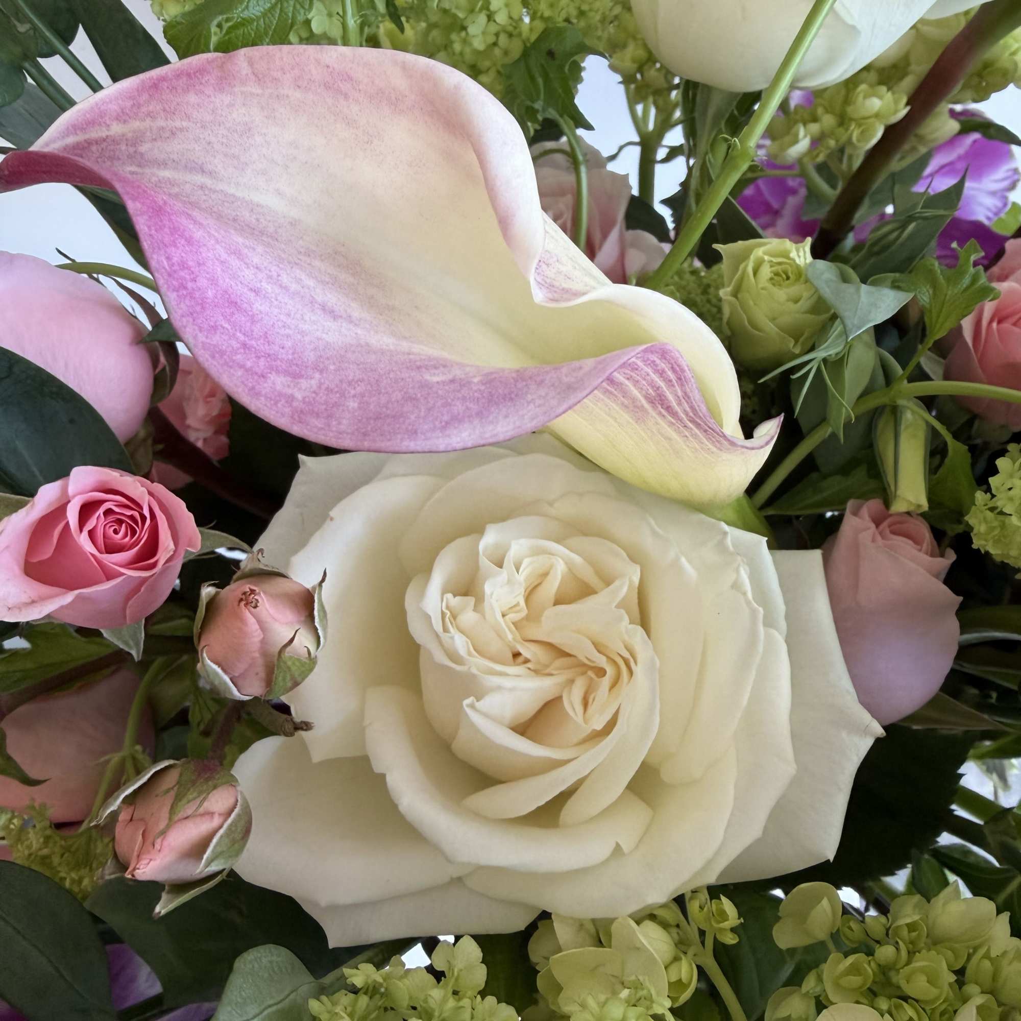 This arrangement is basically a floral reality show.
the Orchid is the dramatic