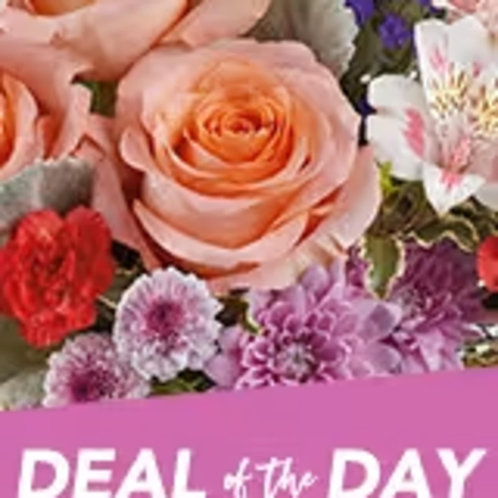 Designers Choice by Sammy Wammy
It's a Deal! Just tell us what you