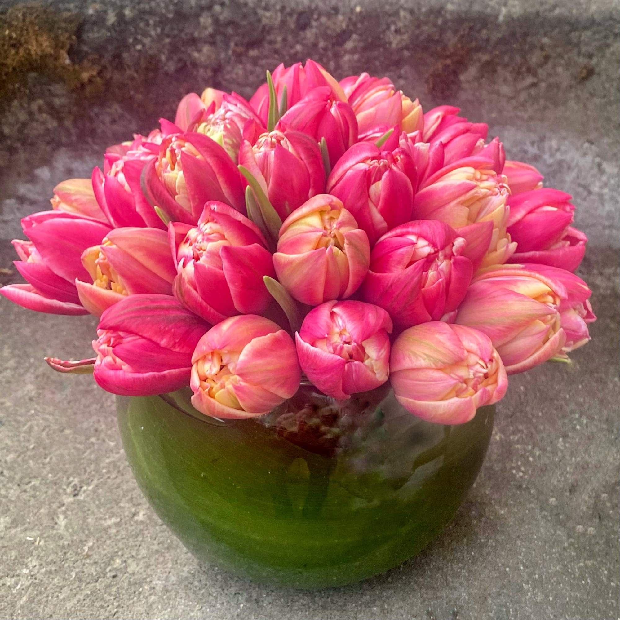 Our Tulip Bowl is a refined celebration of spring, designed to highlight