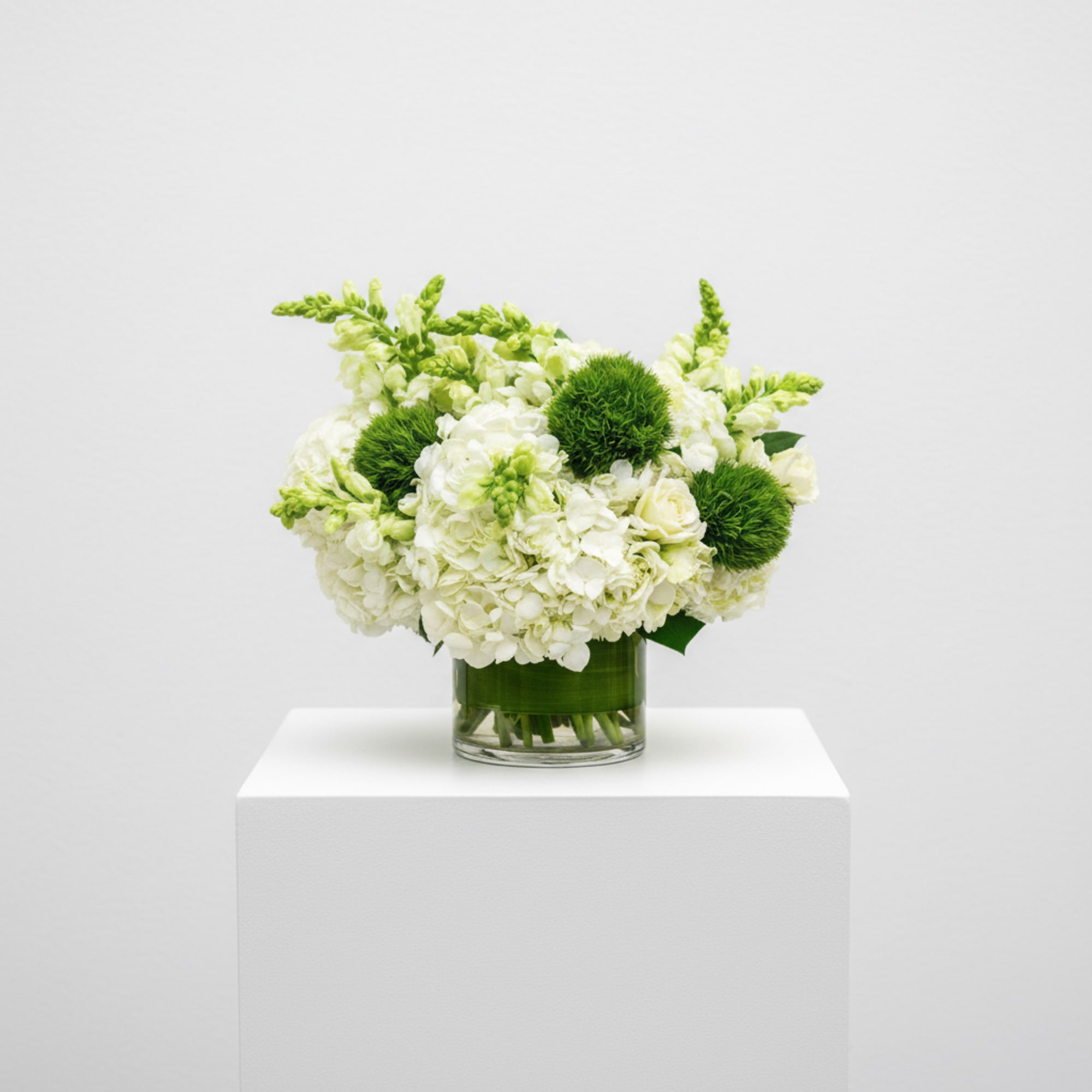 Cylinder vase displaying hydrangeas, snap, dragons, spray roses and green dianthus balls.