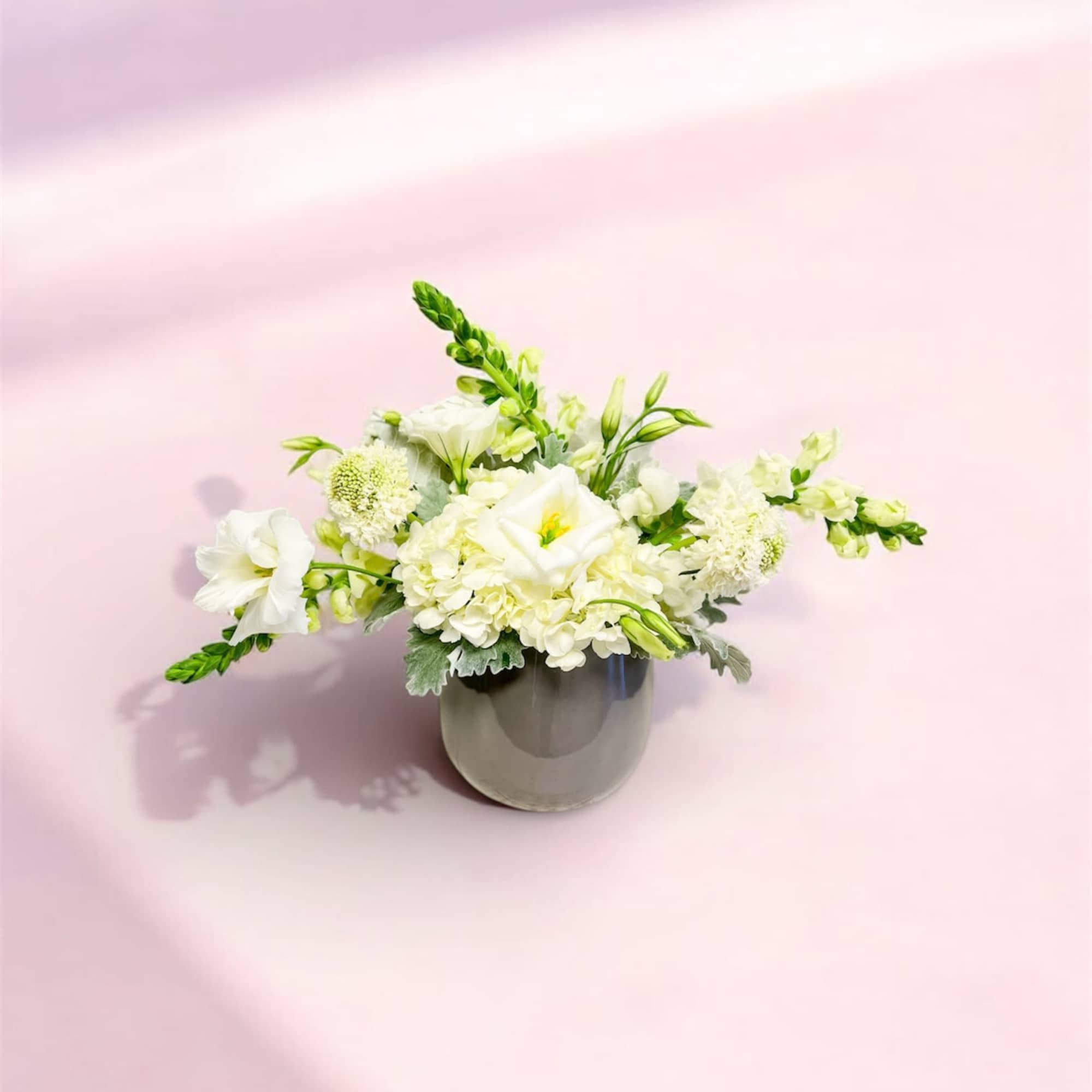 A timeless expression of beauty and calm,  Grace and Ivory features