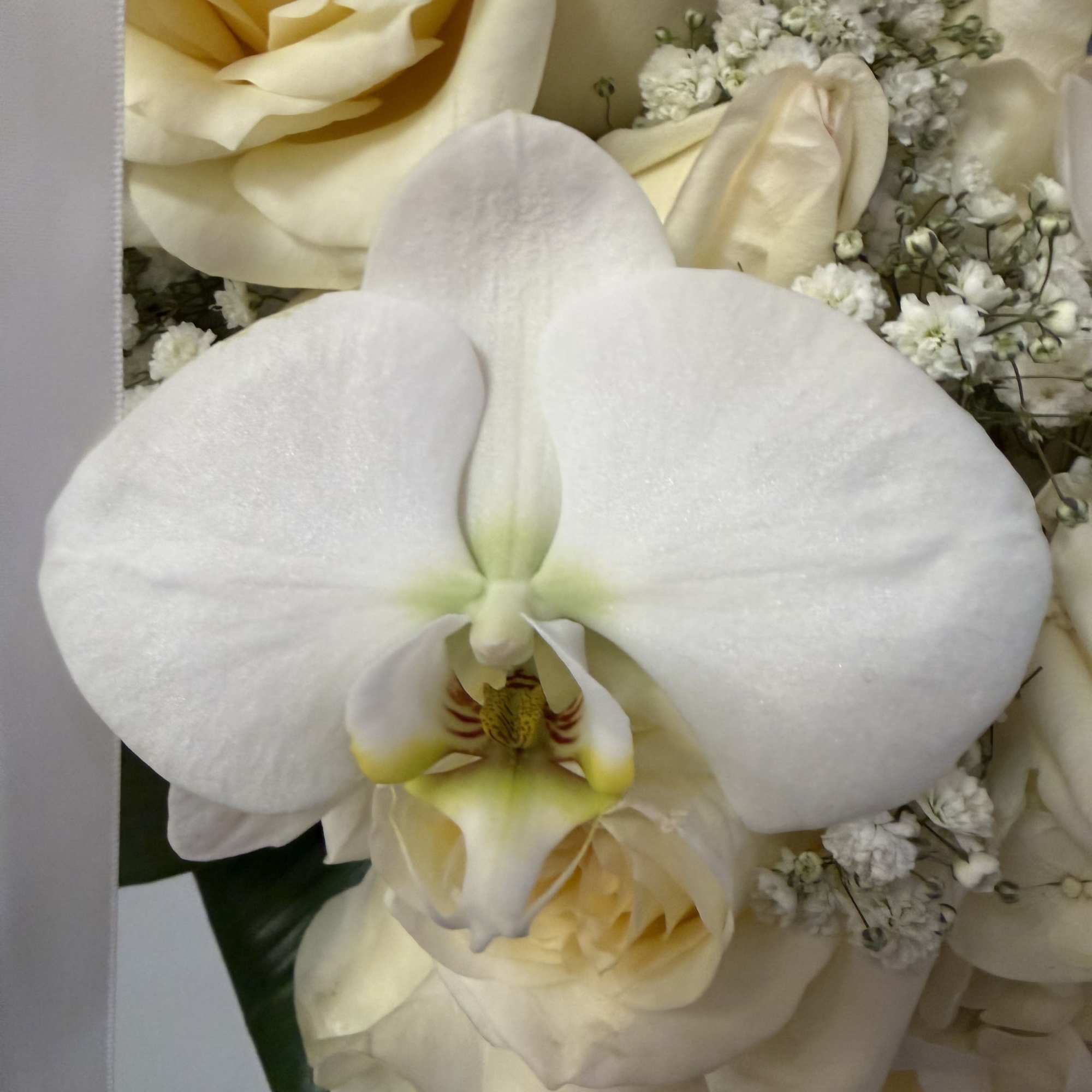 just a touch of magic with very elegant roses and orchids