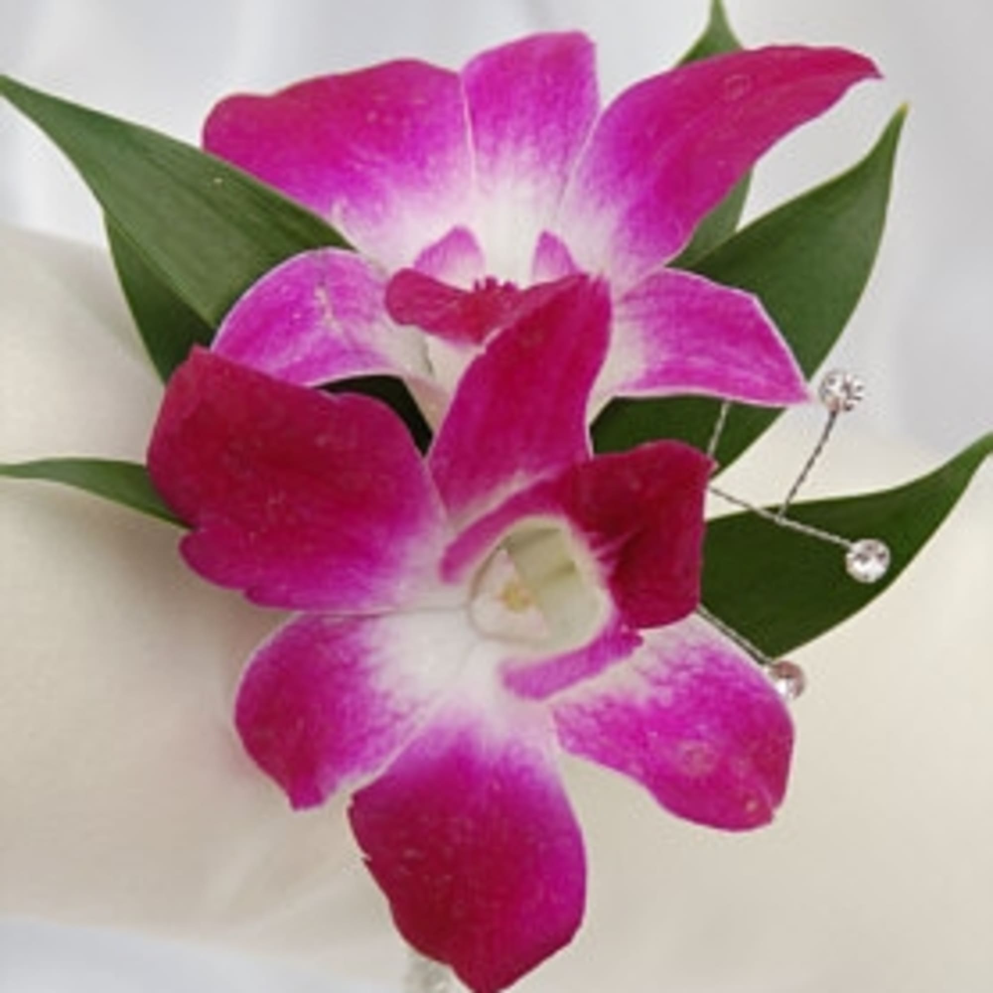 Two pink orchid blooms with green leaves and crystal accents