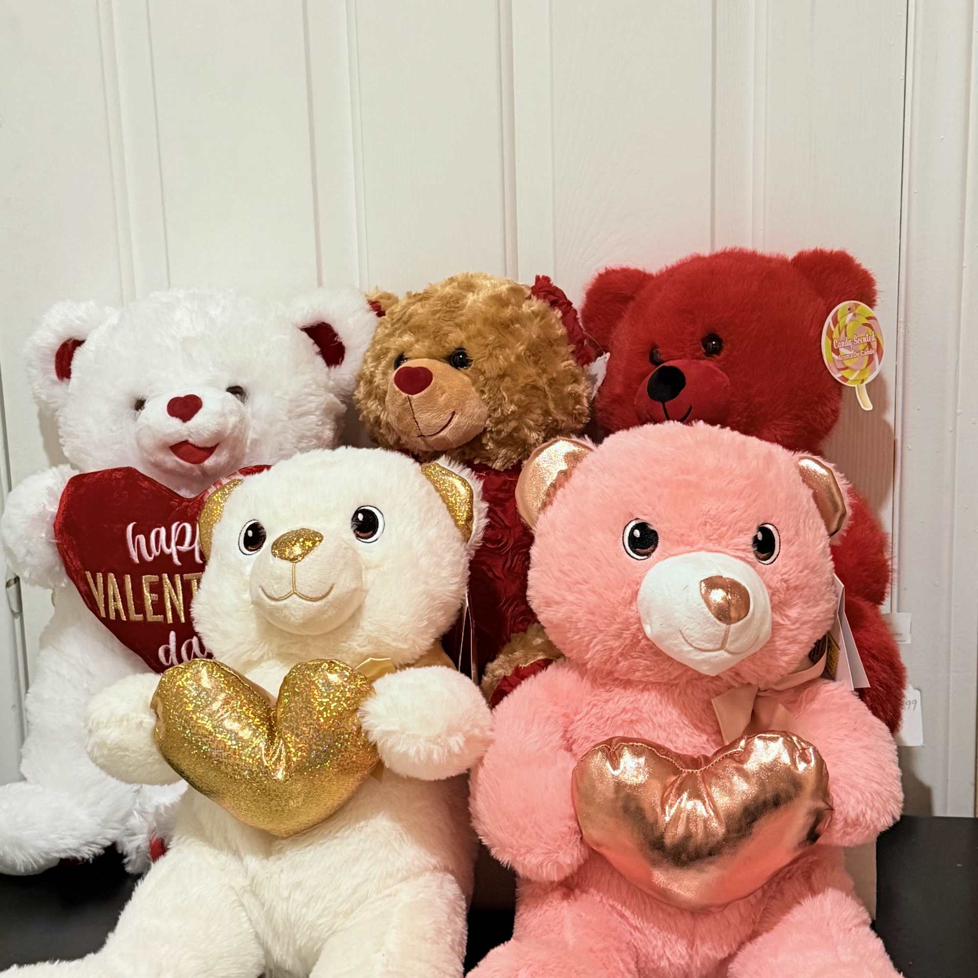 Soft, Cuddly, and full of love,  Teddy Bear is perfect companion