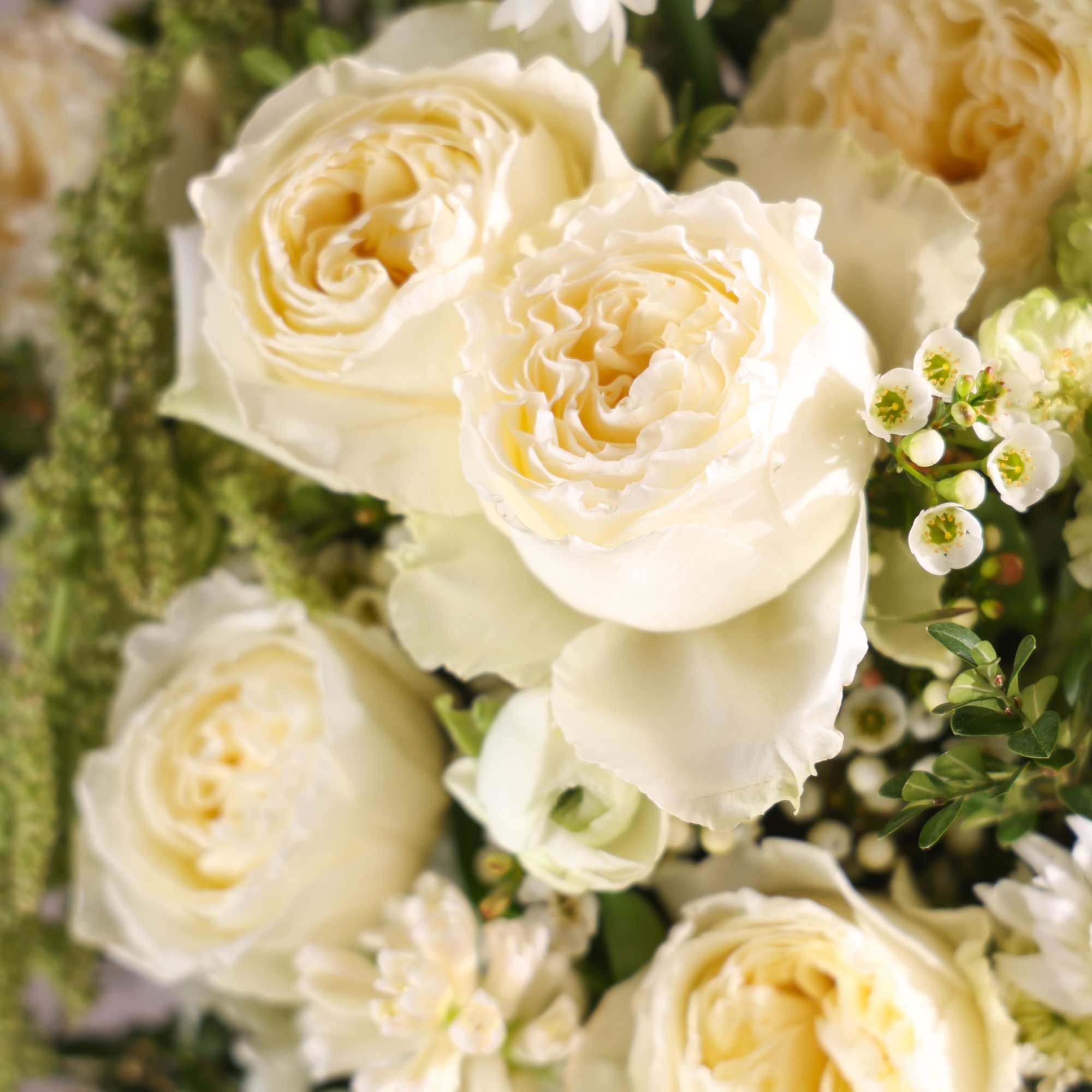 Shop our full collection on our fine art floral studio, direct website: