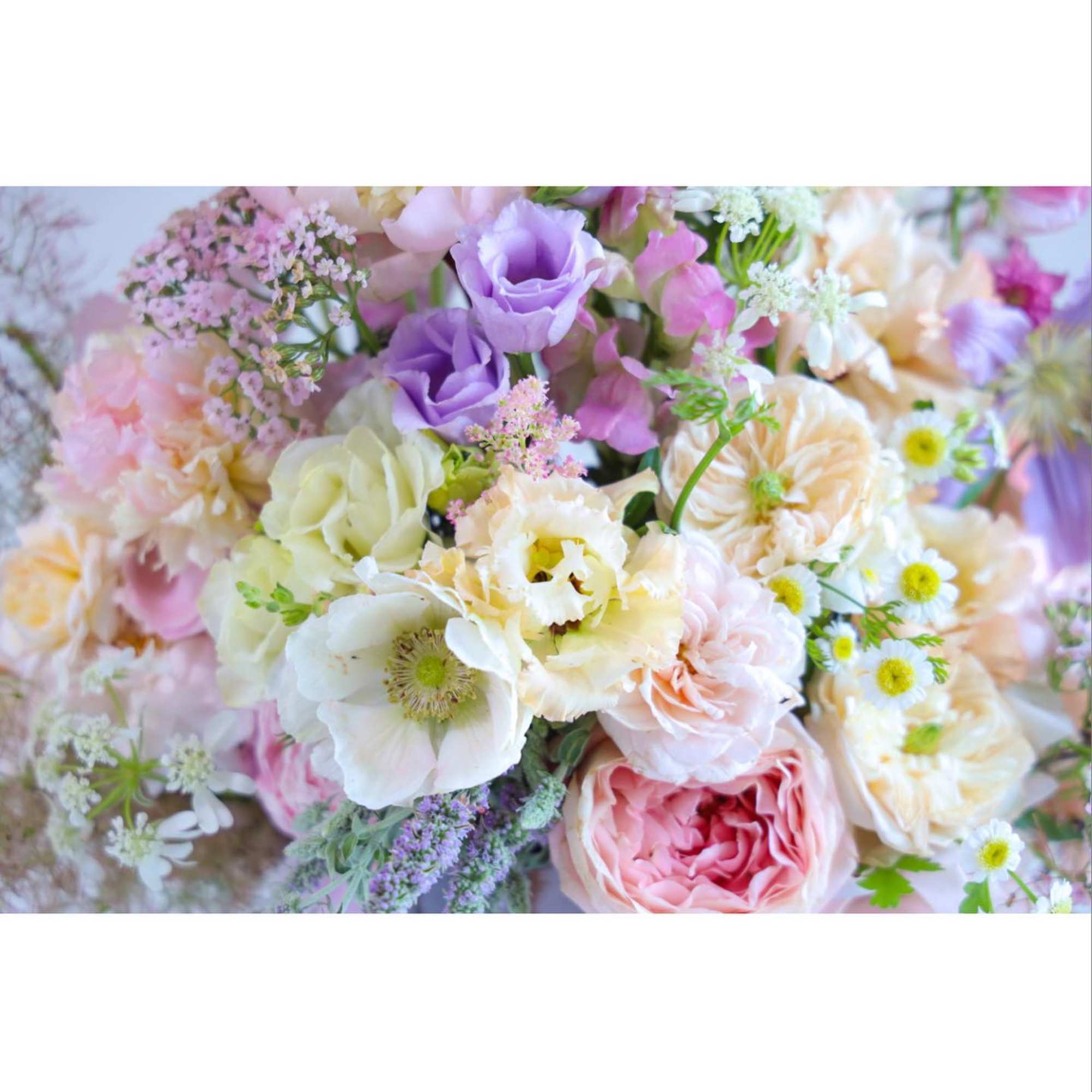 Shop our full collection on our fine art floral studio, direct website: