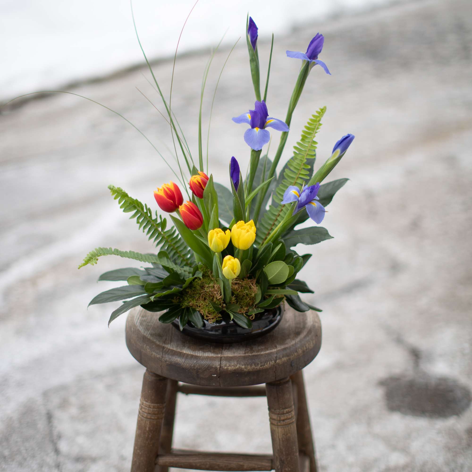 As we approach the vernal equinox nature begins to sing it's song.