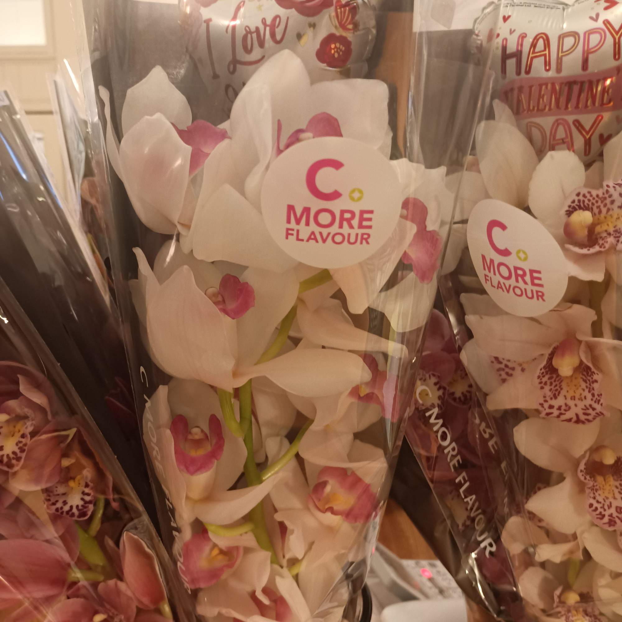 Beautiful long lasting Valentine's cymbidium orchid brunch with valentines mini balloon