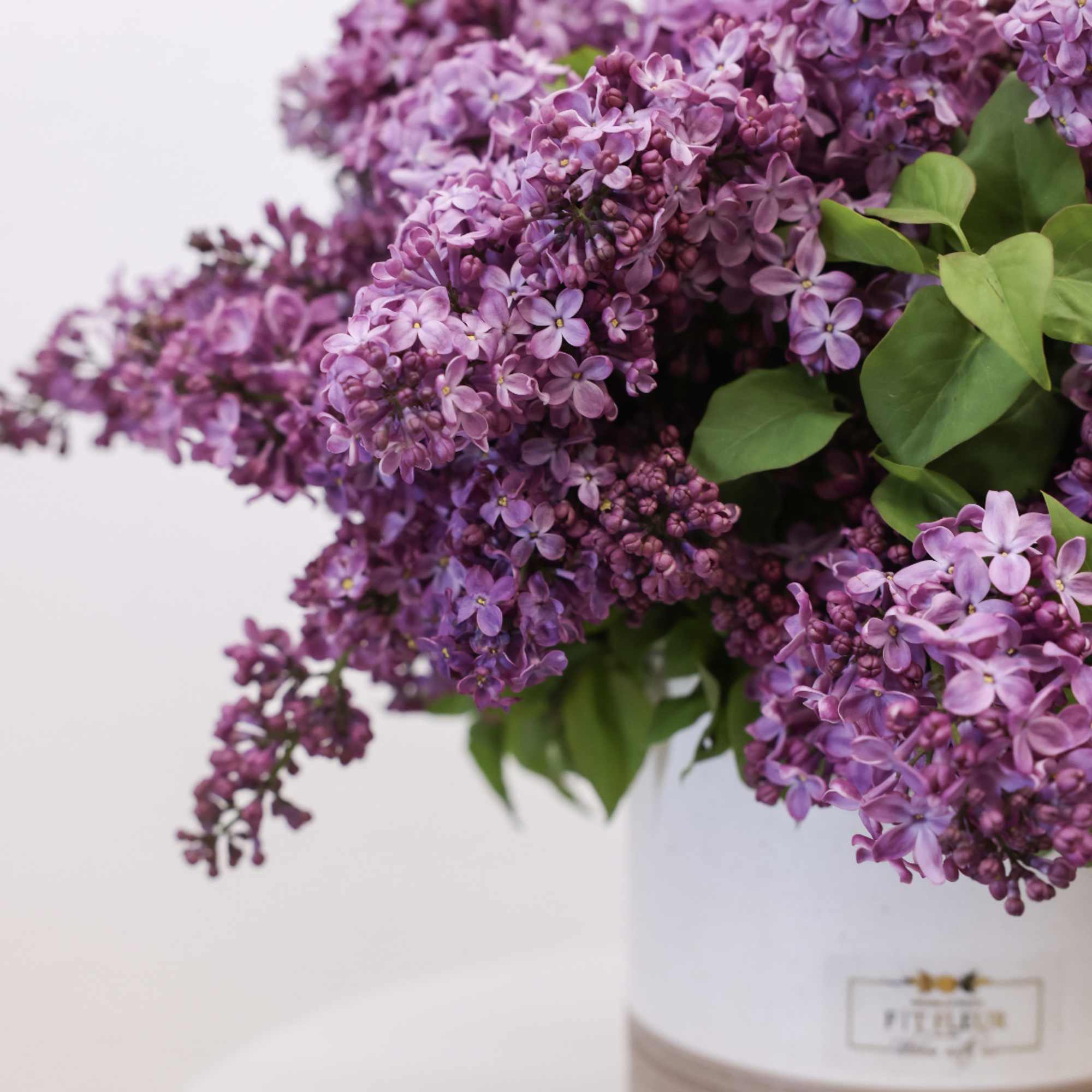 This arrangement comes with a beautiful batch of lilacs. 