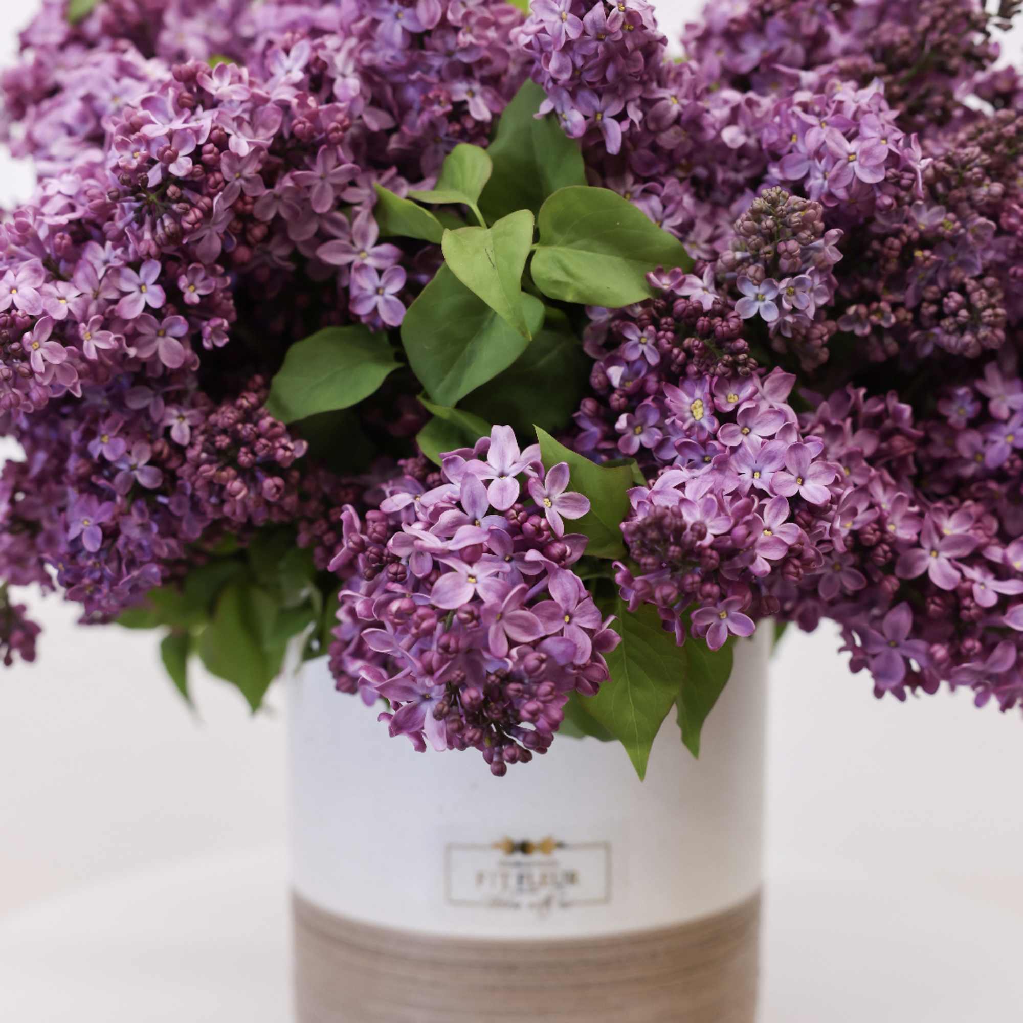 This arrangement comes with a beautiful batch of lilacs. 