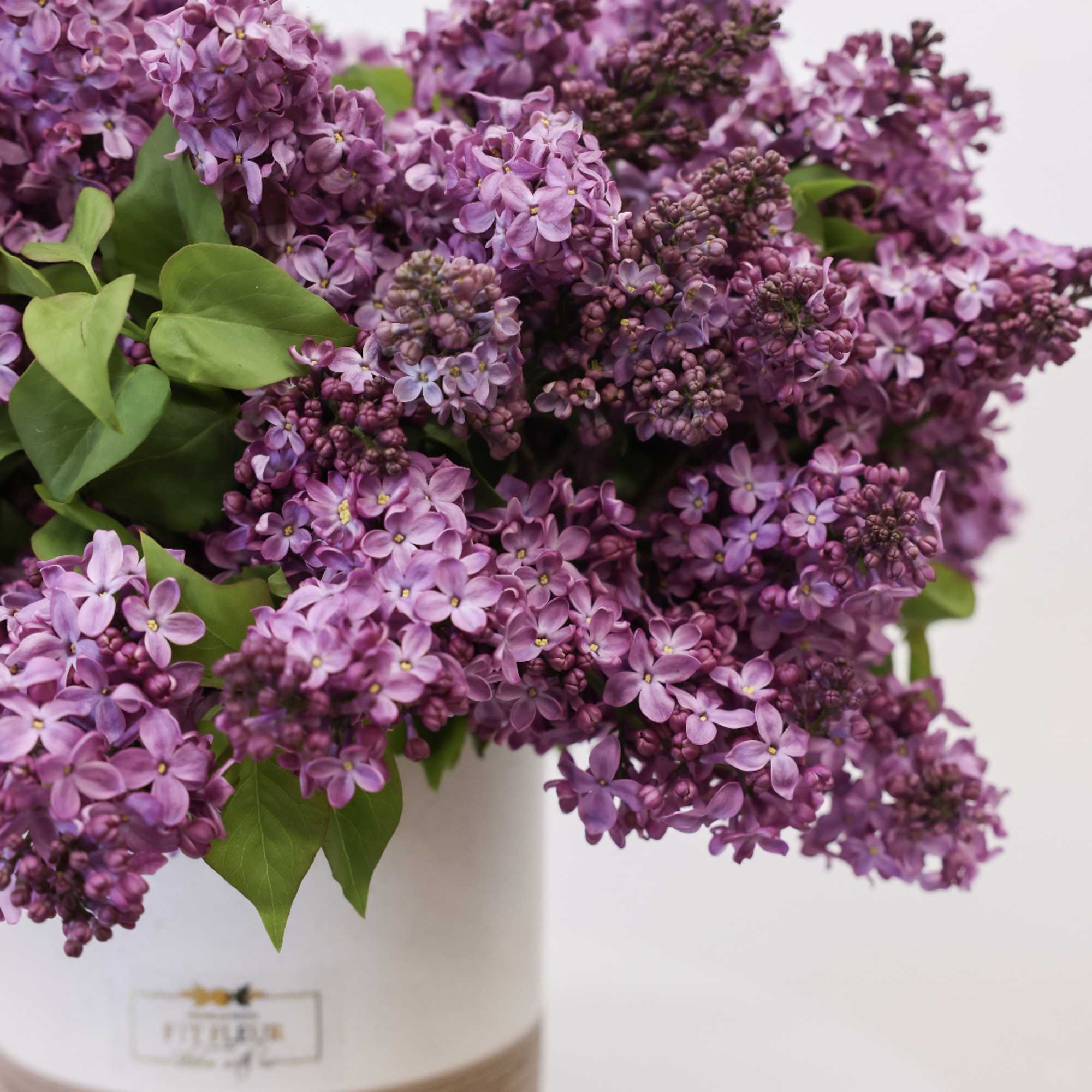 This arrangement comes with a beautiful batch of lilacs. 