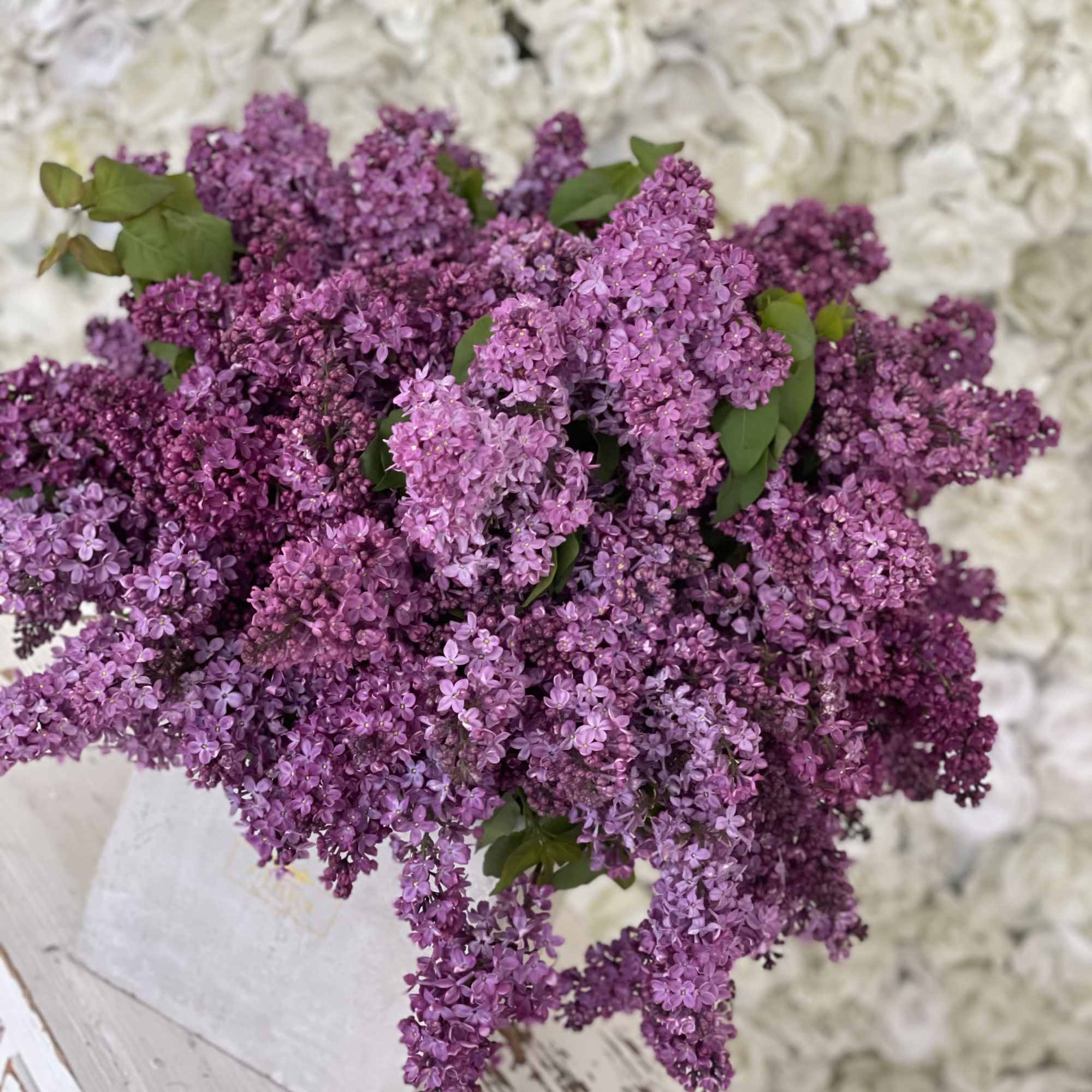 4 1/2 dozen purple lilac arrangement