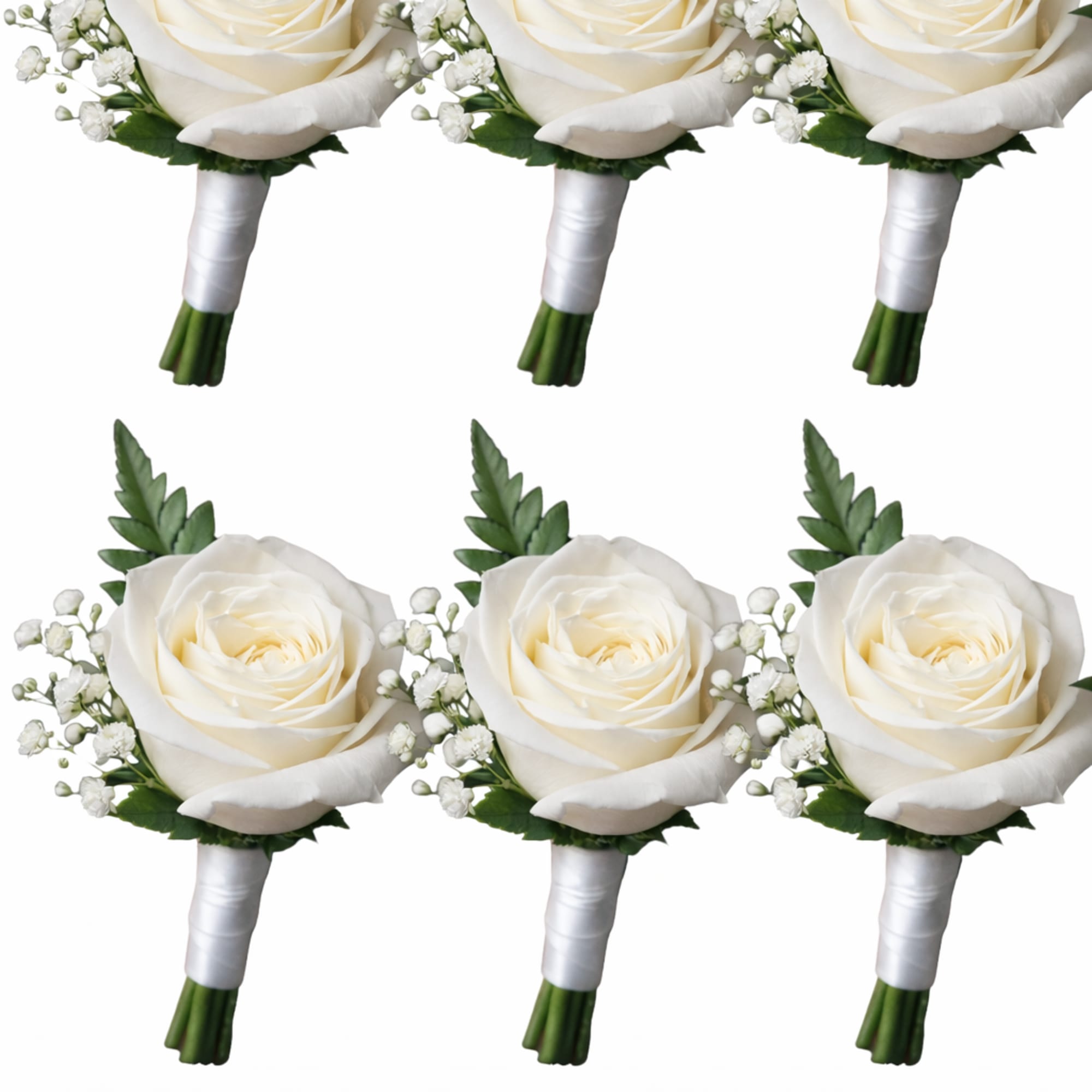 Six white rose boutonnieres with baby's breath and ribbon-wrapped stems