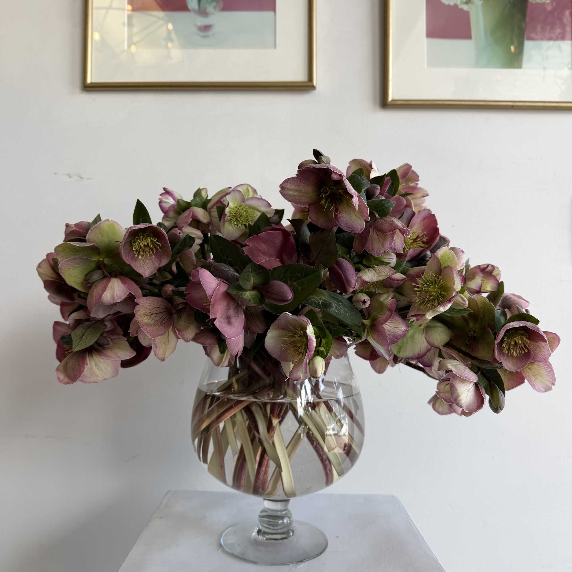 lente roses 
beauty is in every detail 
