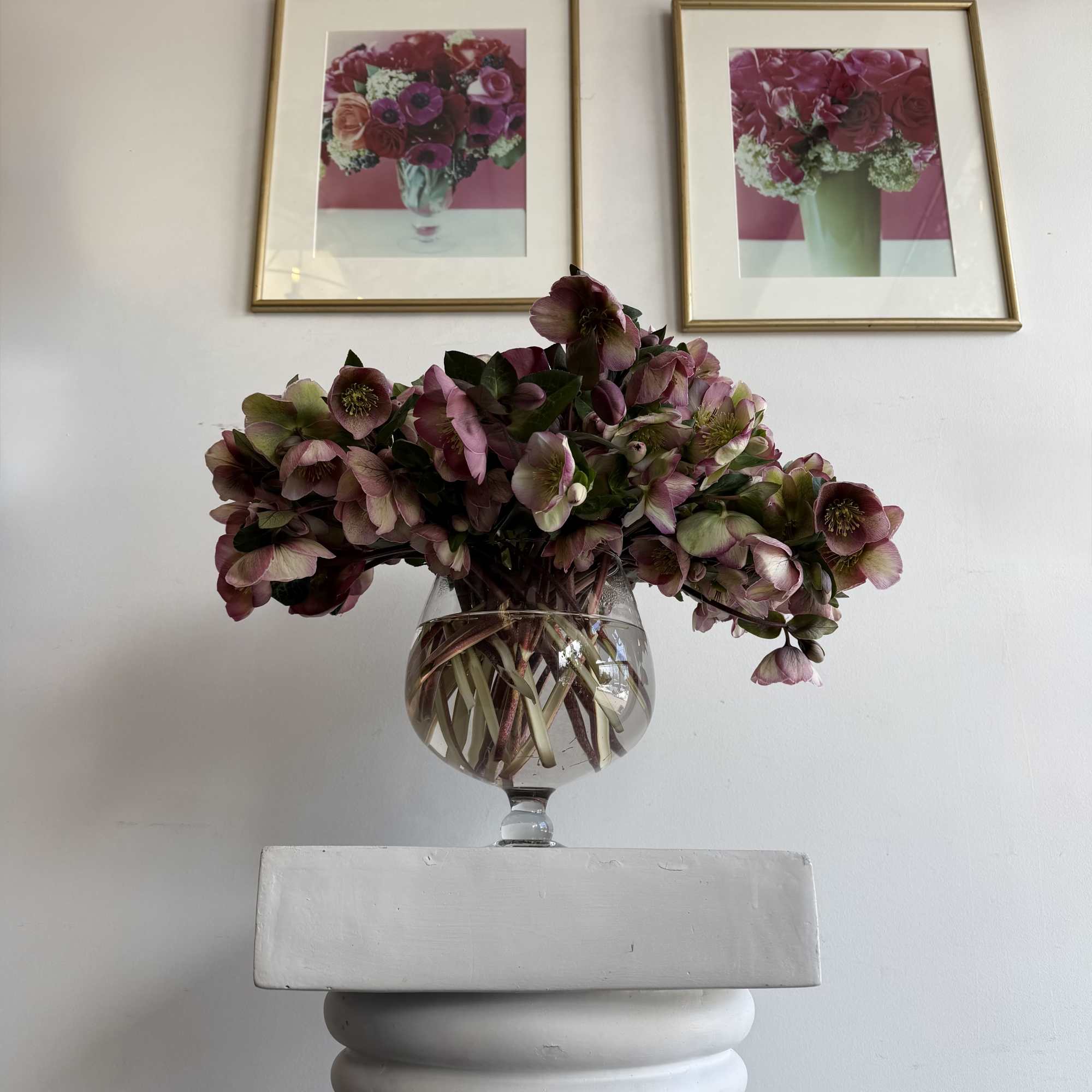 lente roses 
beauty is in every detail 
