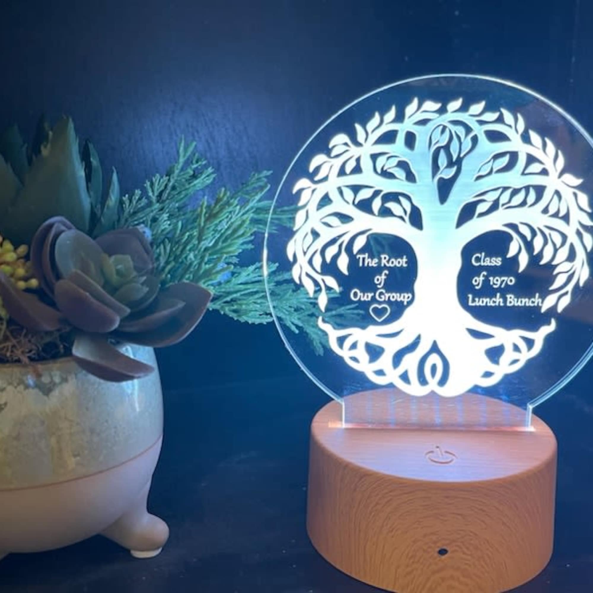 Makes for an eye catching display for home or business. A sweet