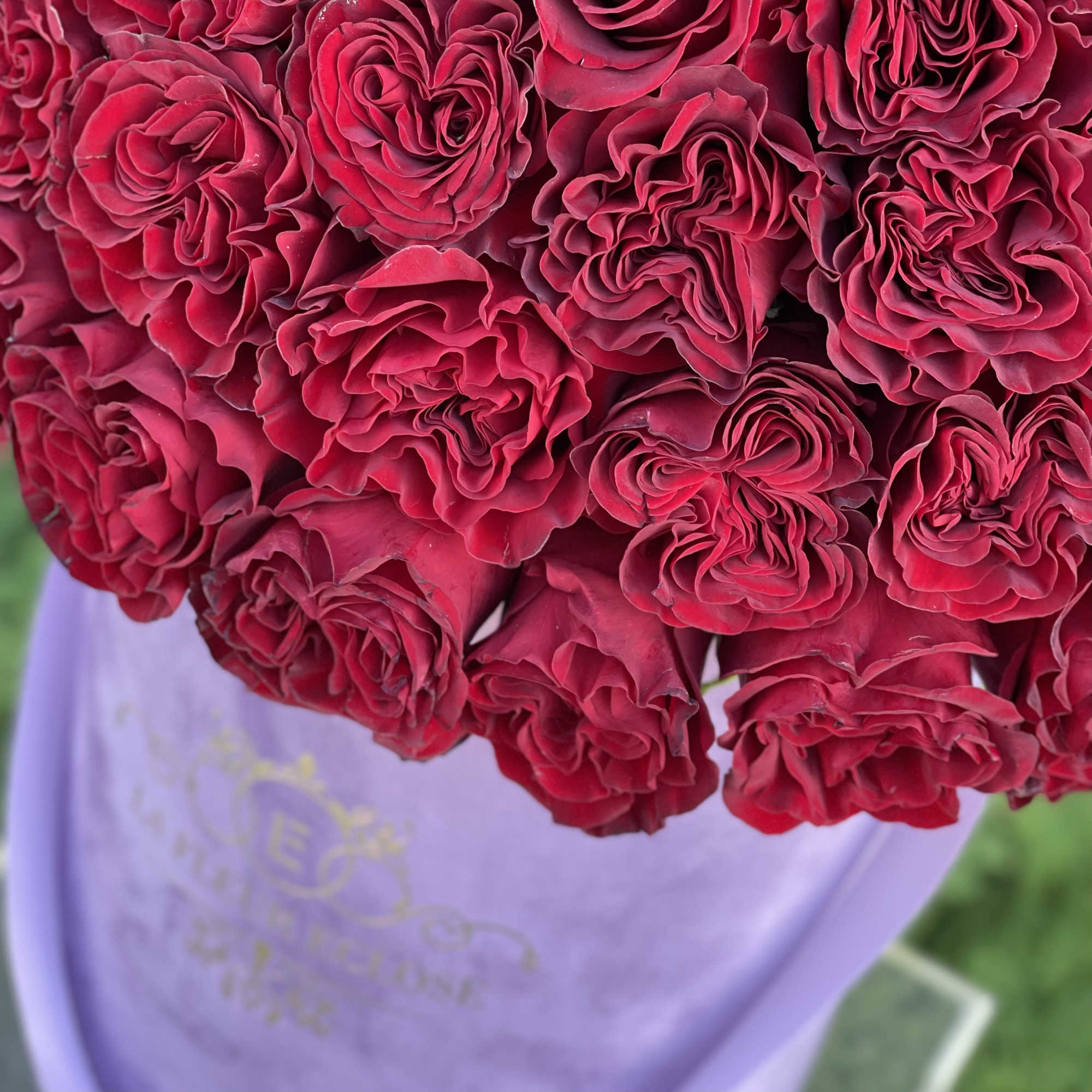 50 red heart shaped roses in our signature velvet lavender box