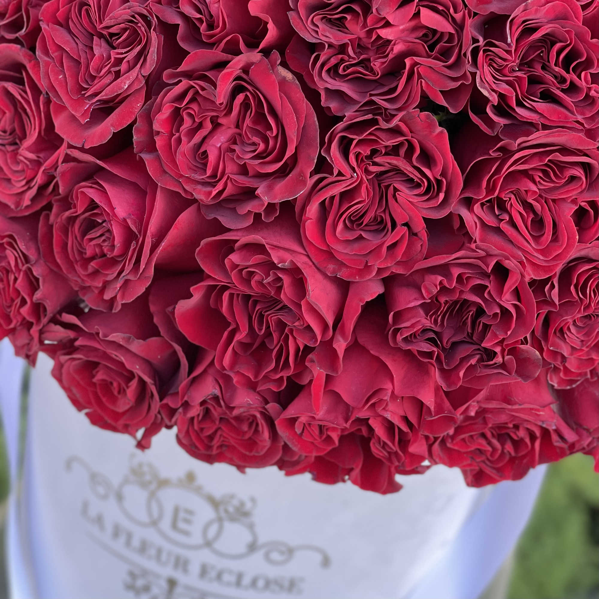 50 red heart shaped roses in our signature velvet white box 
