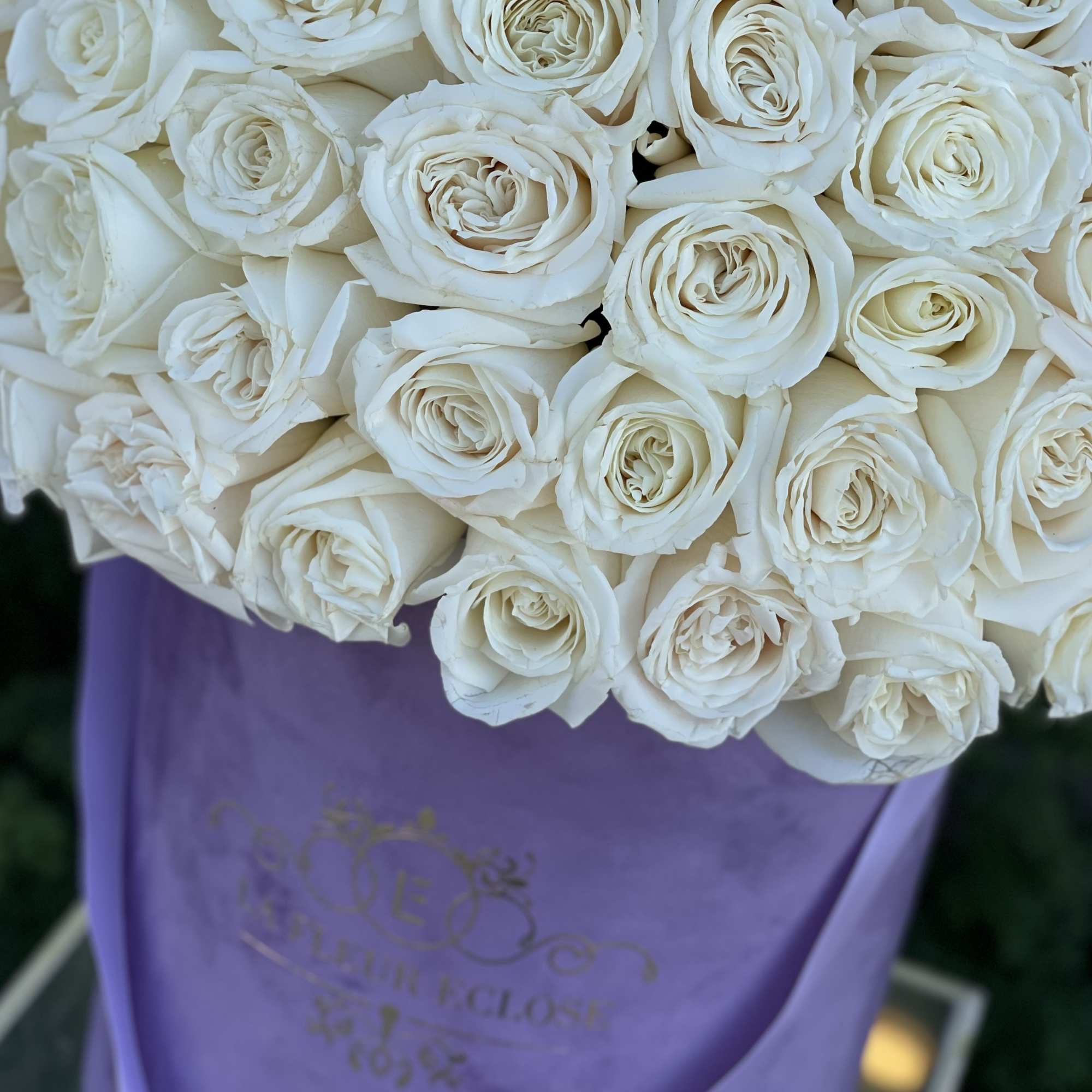 50 white roses in our signature velvet lavender box   