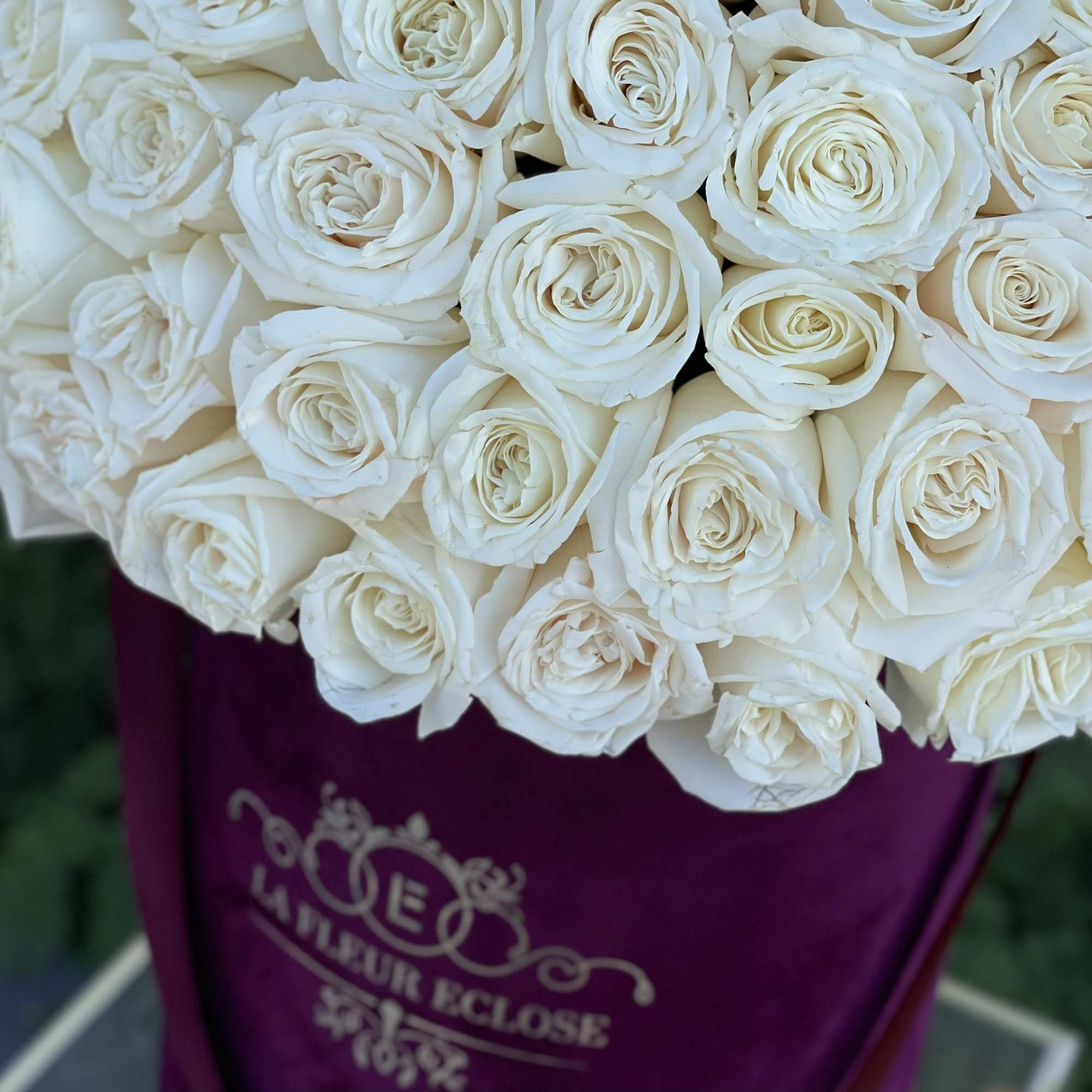 60 white roses in our signature velvet burgundy box 