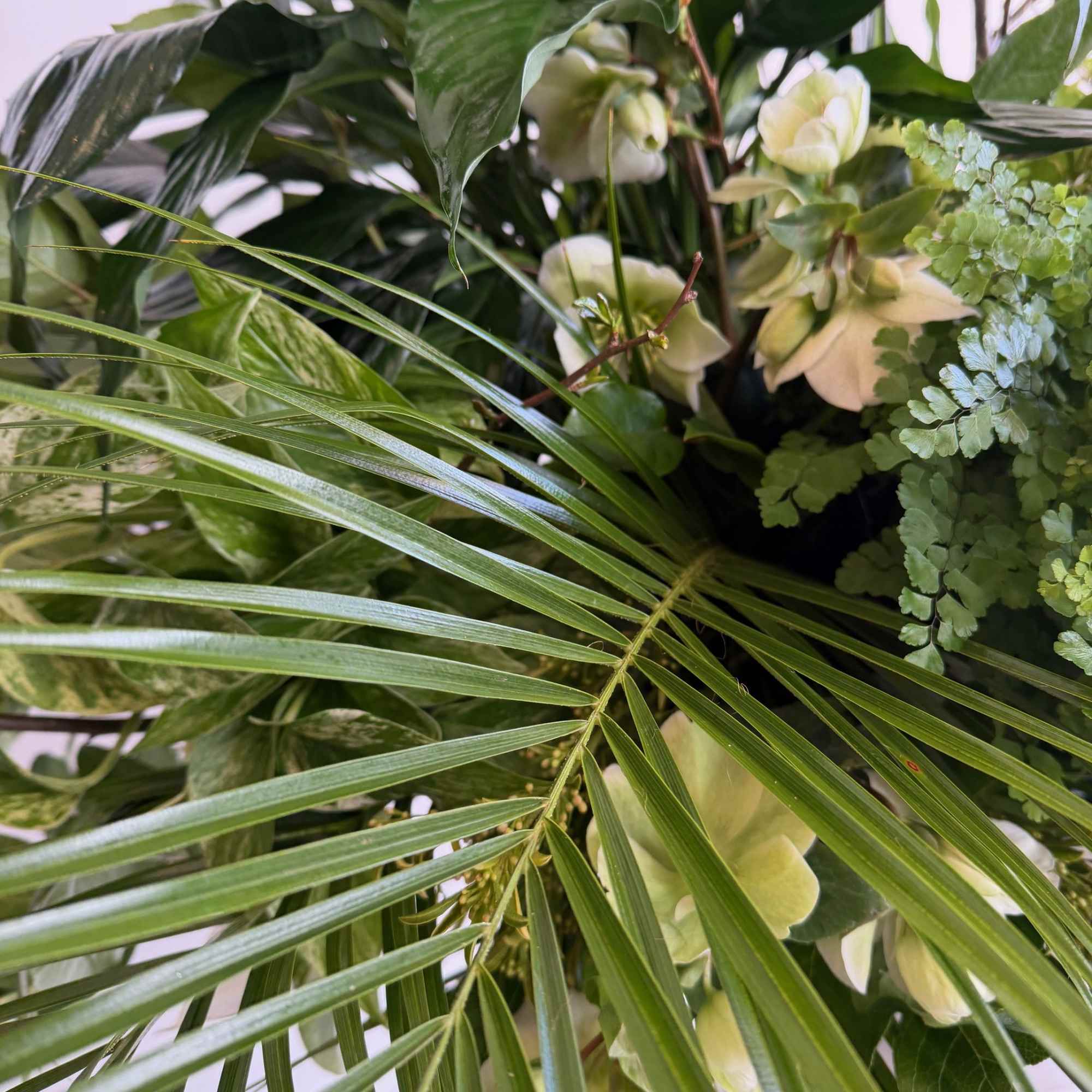 this beautiful ''luxury Caskey spray'' whit white orchid and Helleborus and mix