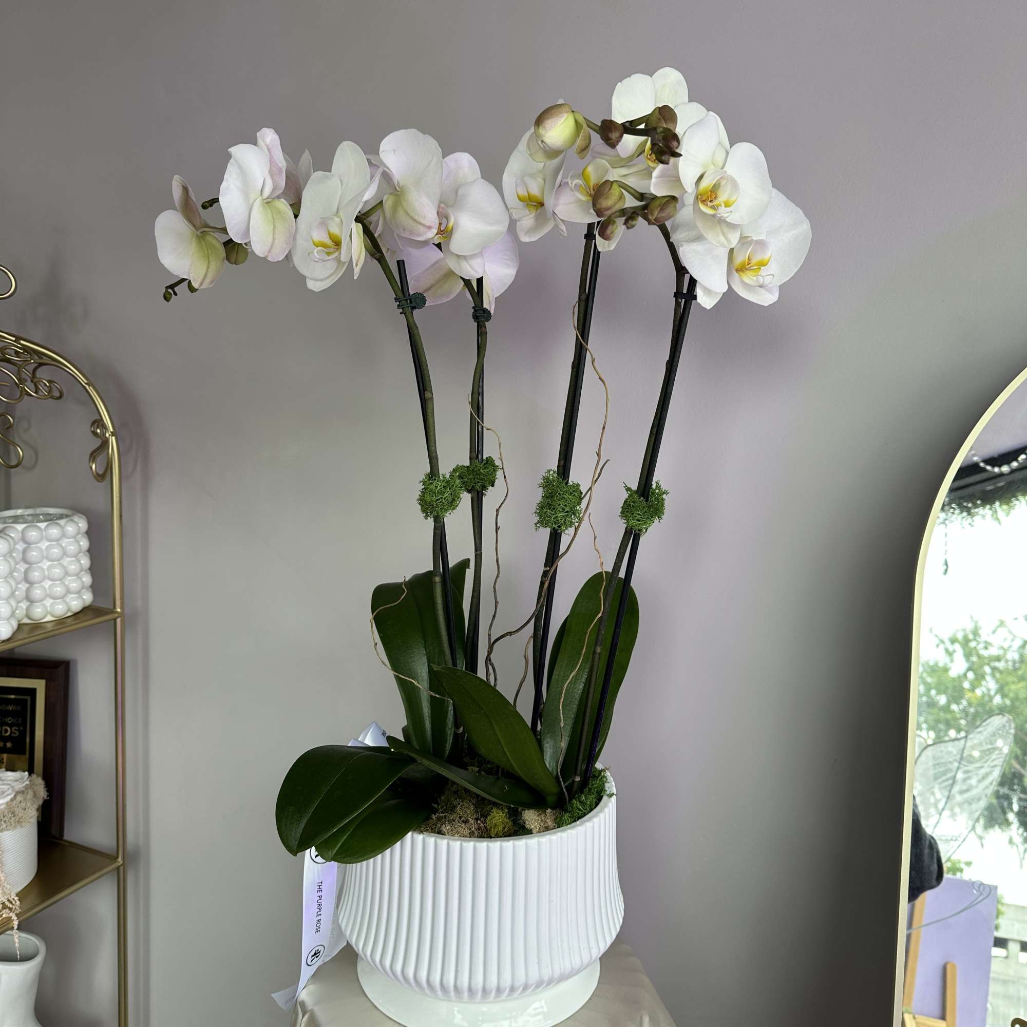 This exquisite vase showcases elegant orchid stems, each one a stunning display