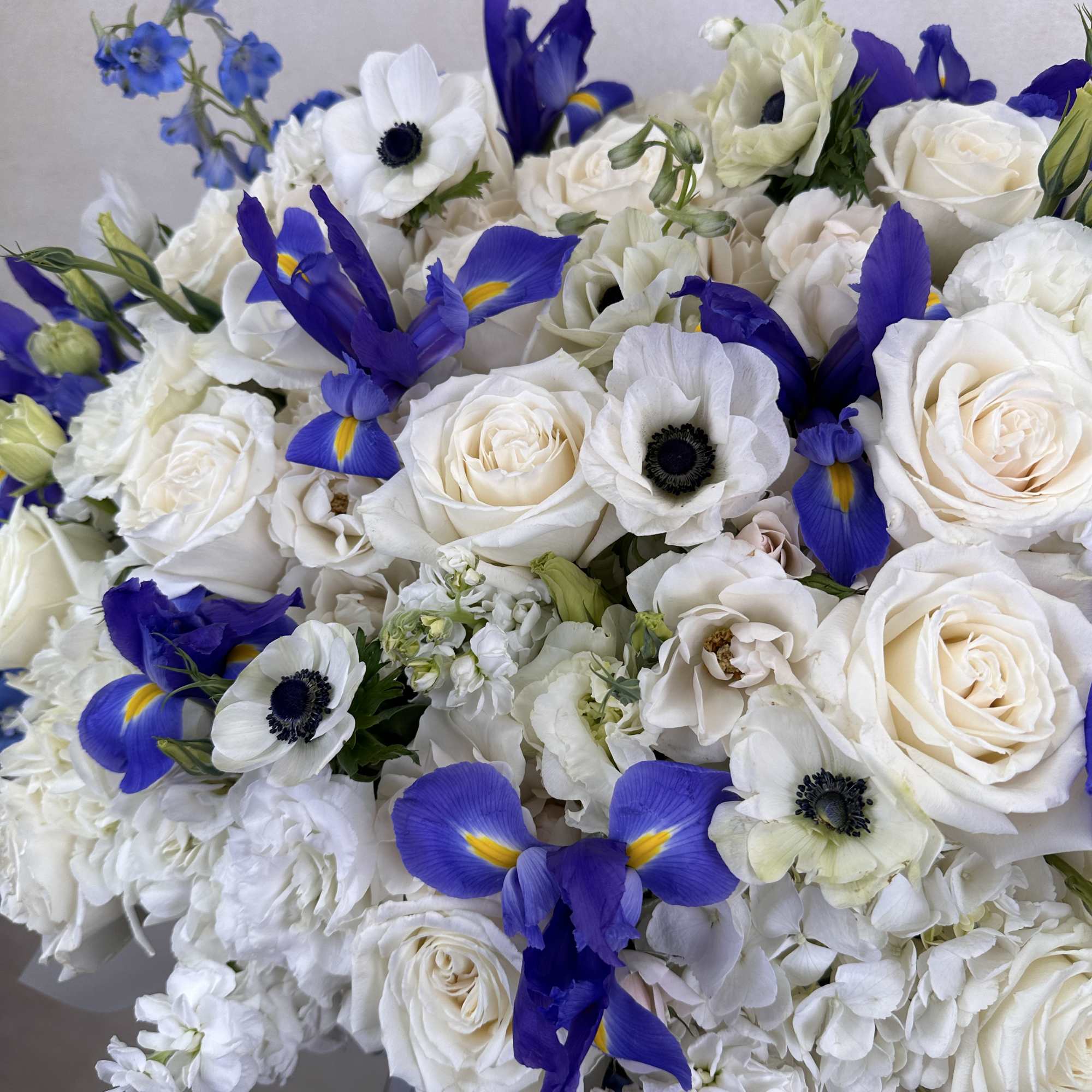 This elegant arrangement in a luxurious blue velvet box features a stunning