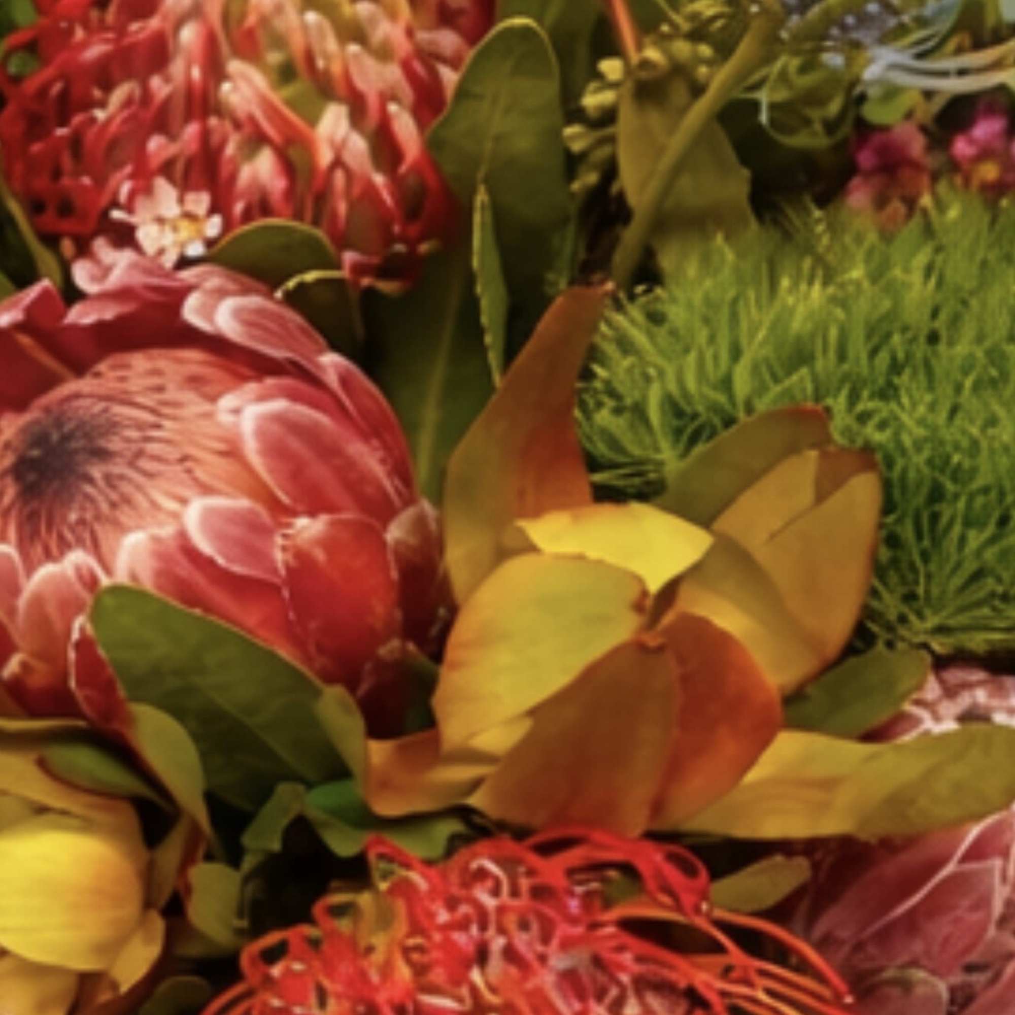 This long lasting arrangement features protea, pincushion, dianthus, wax flower, eucalyptus, thistles