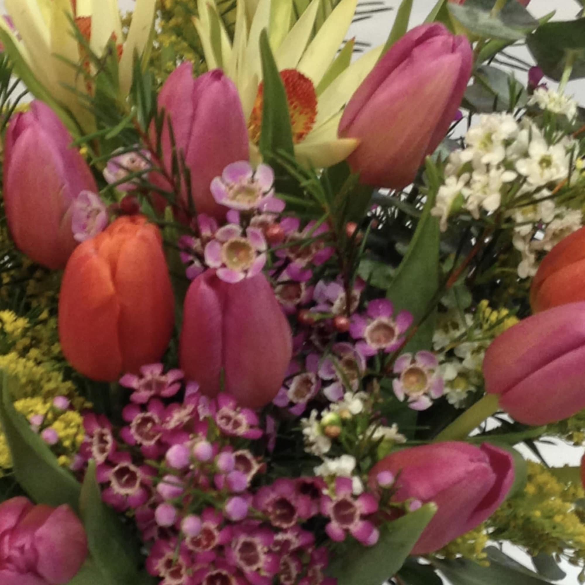 This arrangement comes complete with 20 fresh tulips, accompanied by a mixture