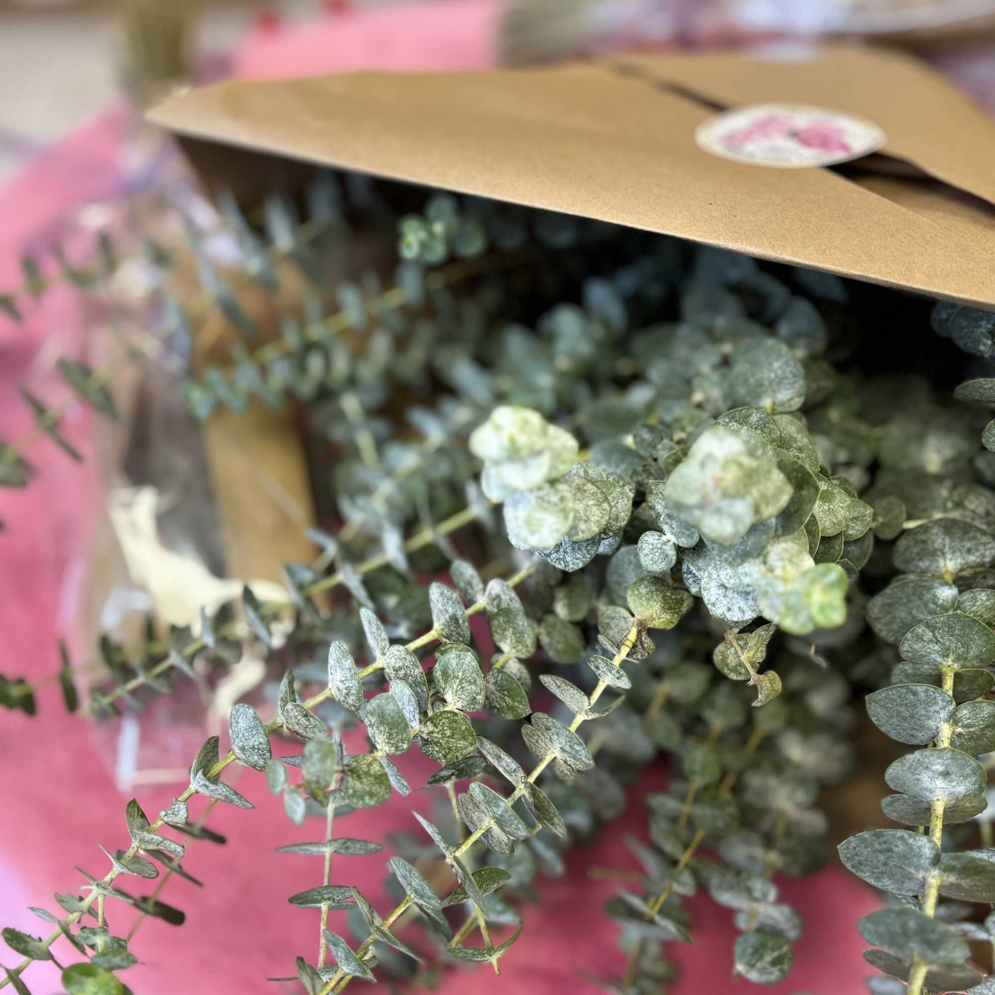 Transform your daily shower into a calming, spa-like ritual with our Bloom