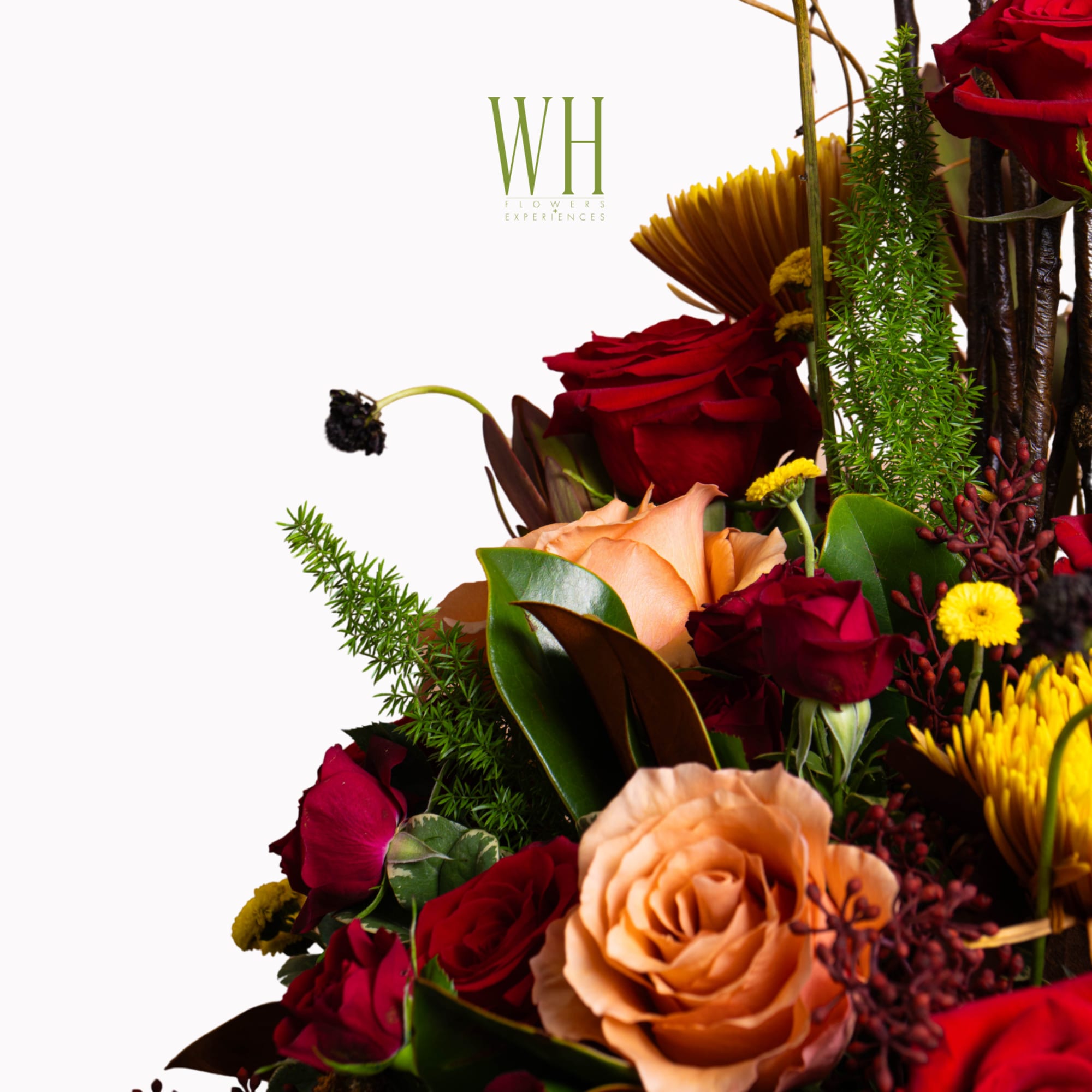 Depth and heat in perfect balance. EMBER gathers crimson roses, toffee and