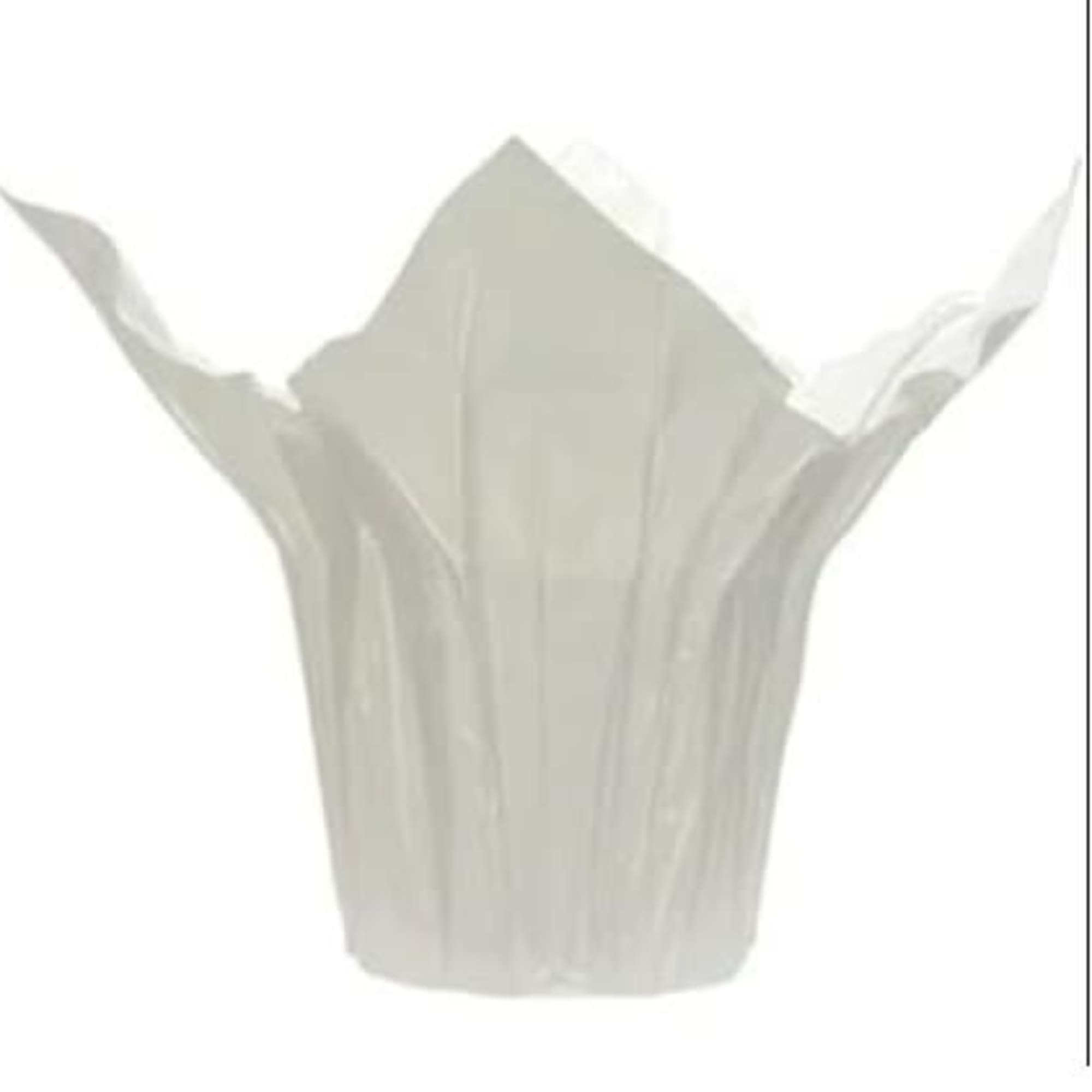 Choose from Pink, Purple or Blue.  These wonderful hydrangea plants are