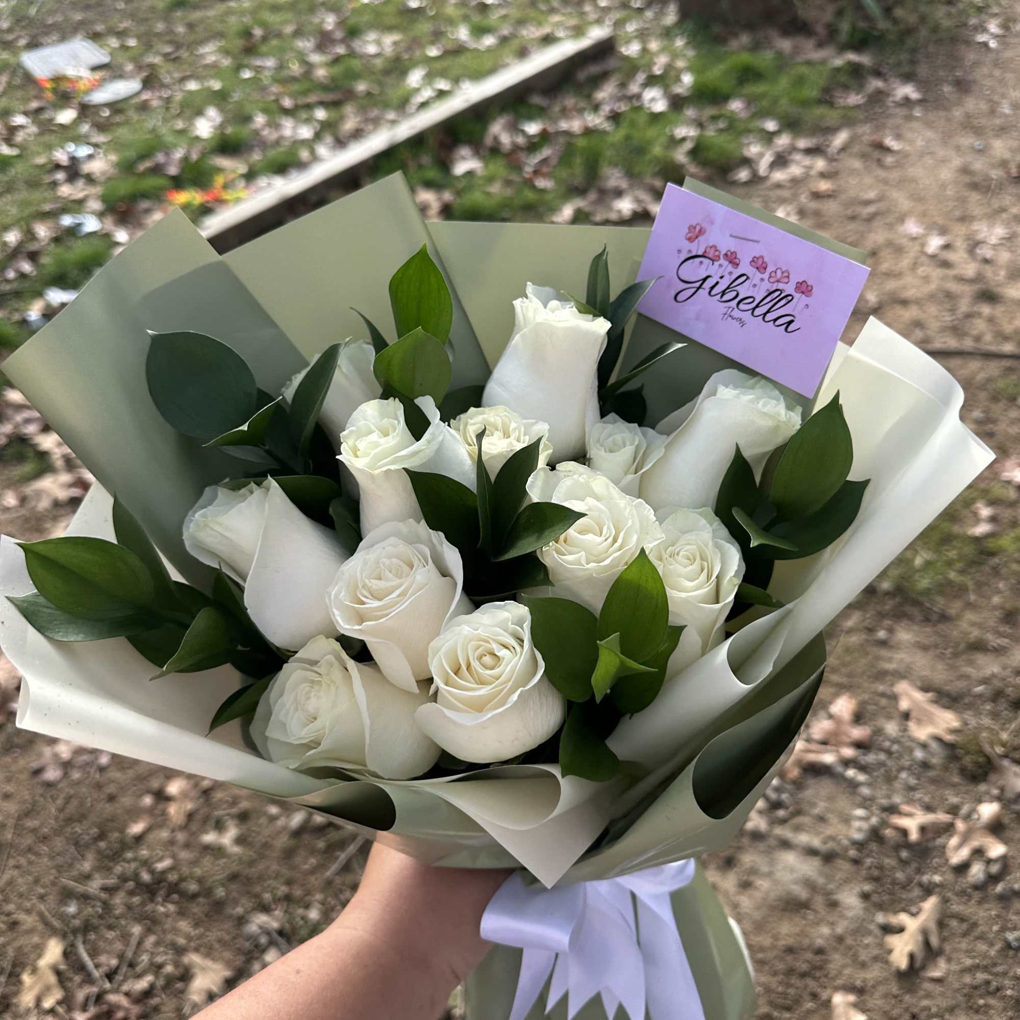 Bouquet of white roses wrapped in pale paper with a ribbon