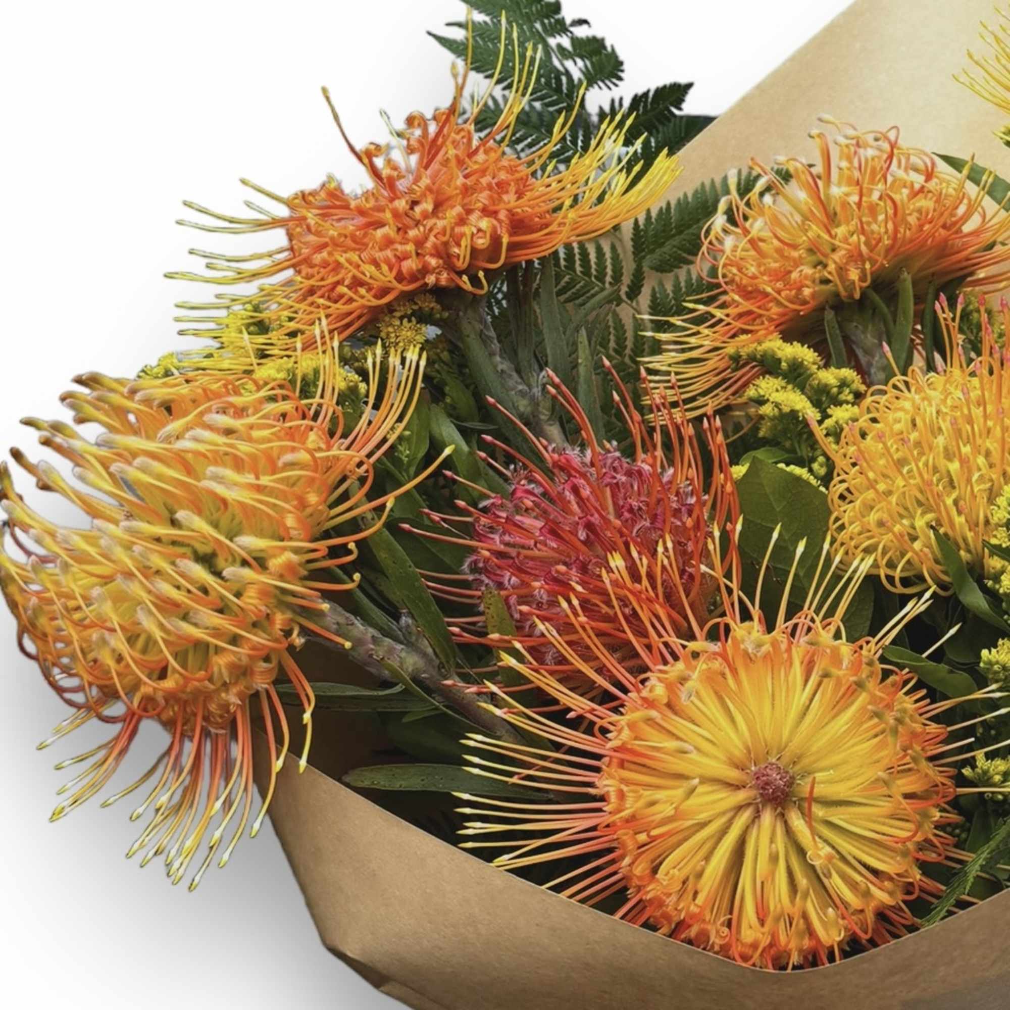 The Pincushion Protea, originally hailing for South Africa, has long-lasting flower heads