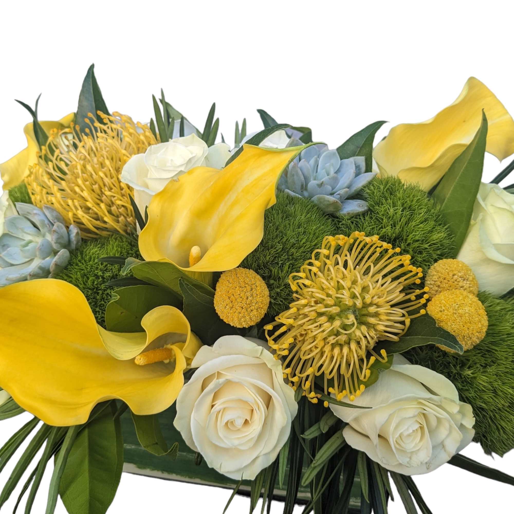 Yellow Calla Lilies, Yellow Pincushion Proteas and Yellow Craspedia! This arrangement will