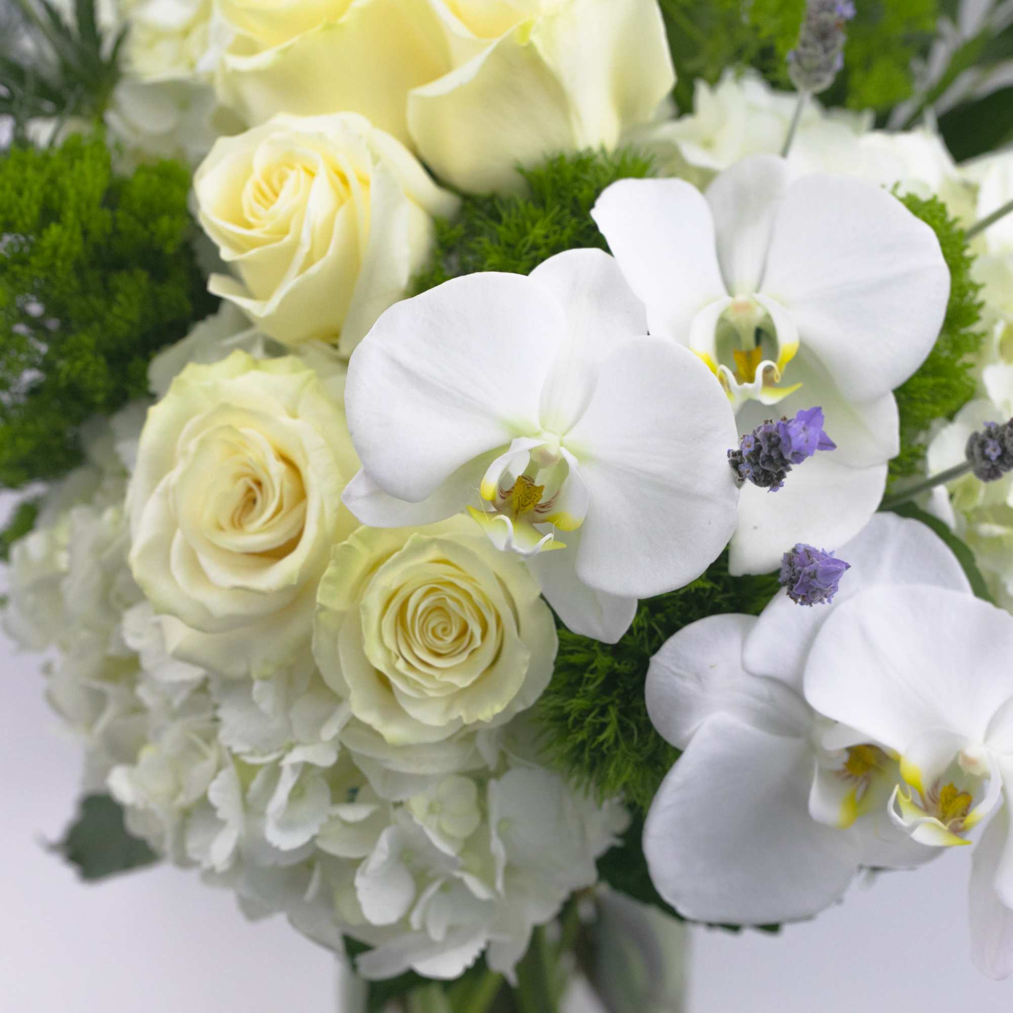 VASE OF MIXED WHITE FLOWERS WITH ORCHIDS AND ROSES 

Abundant, Elegant, Beautiful.
