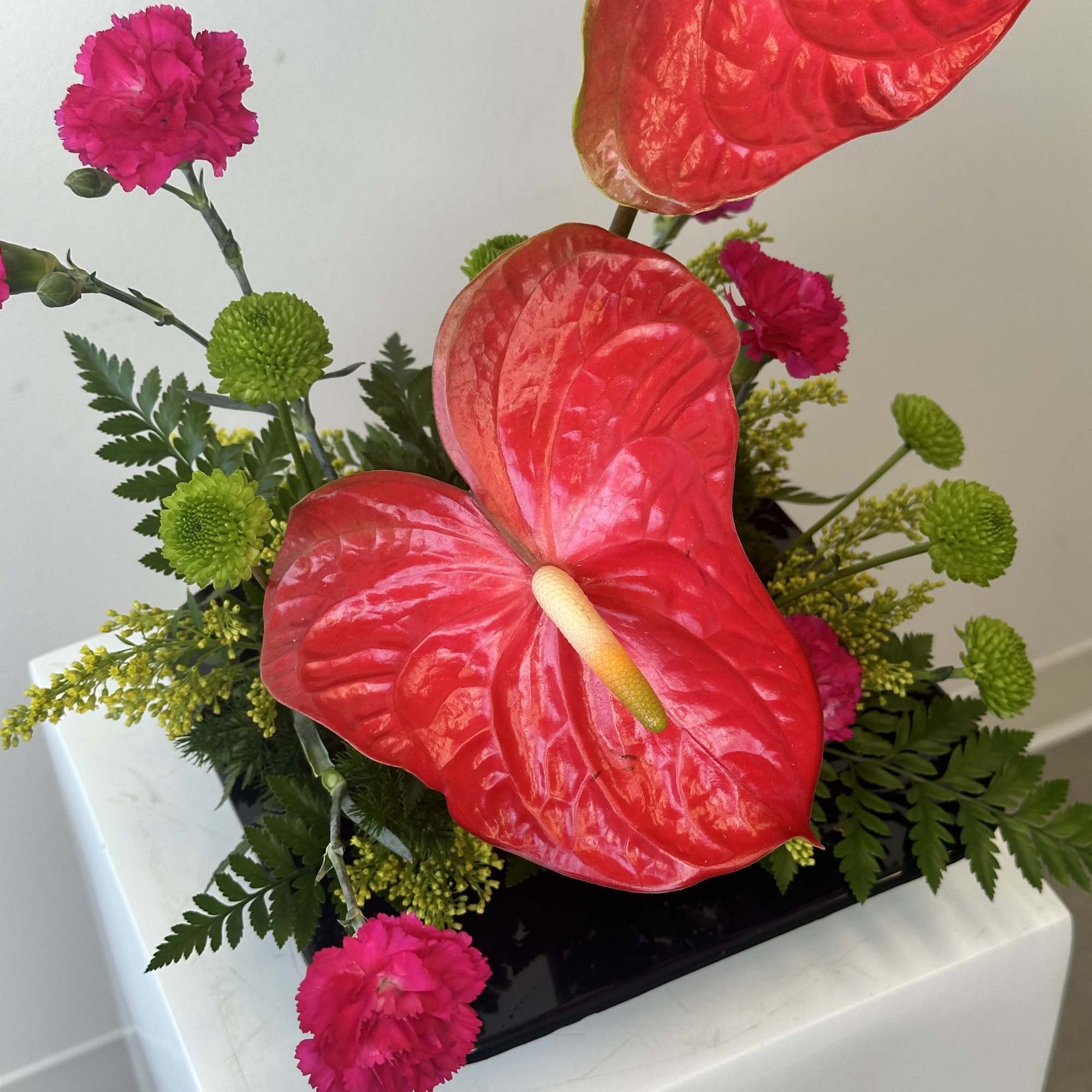 Red anthurium 
