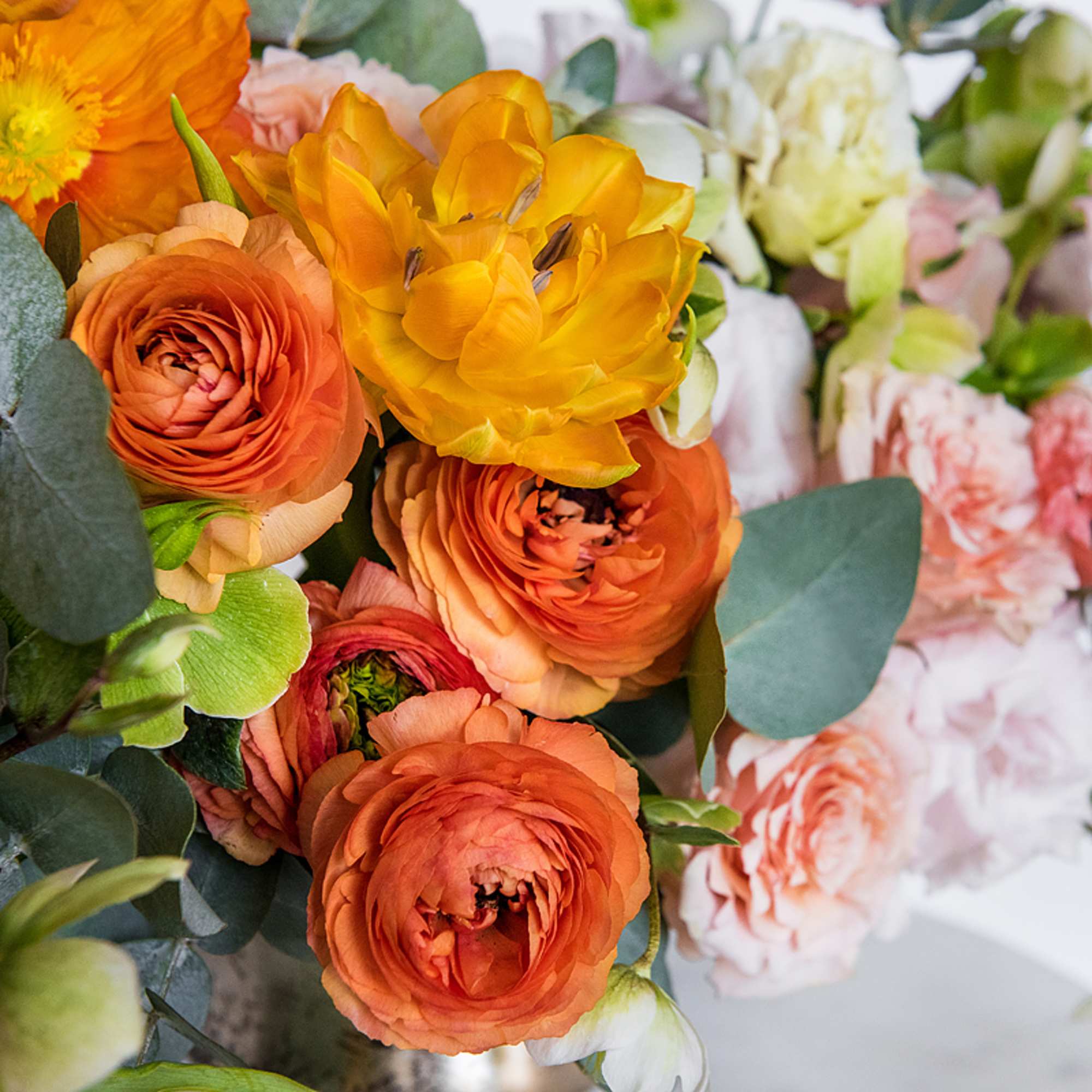 Kaleidoscope of fresh spring blooms ranging from deep oranges to peach, pink