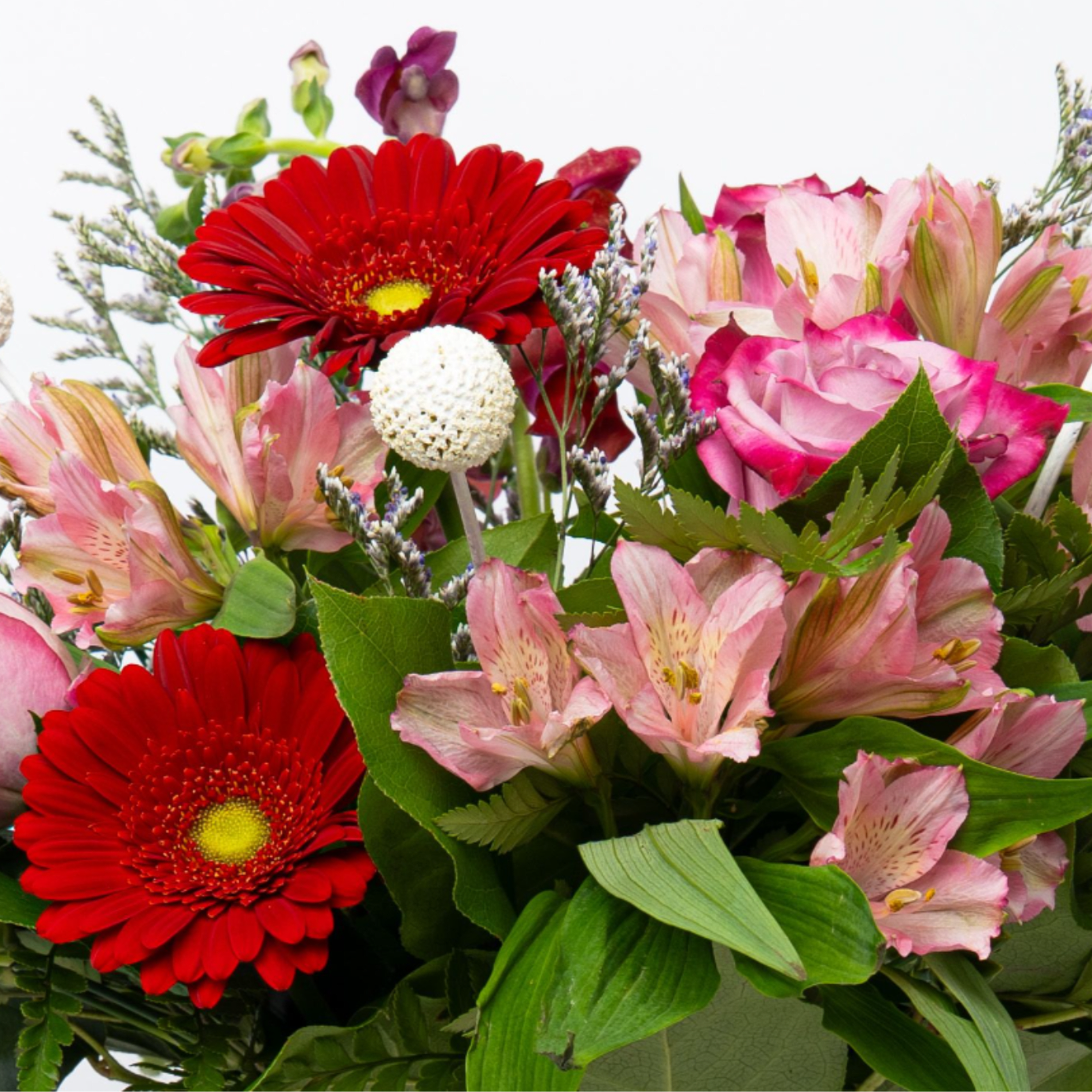 Looking for a whimsical yet bold gesture this Valentine's Day? The Daisy