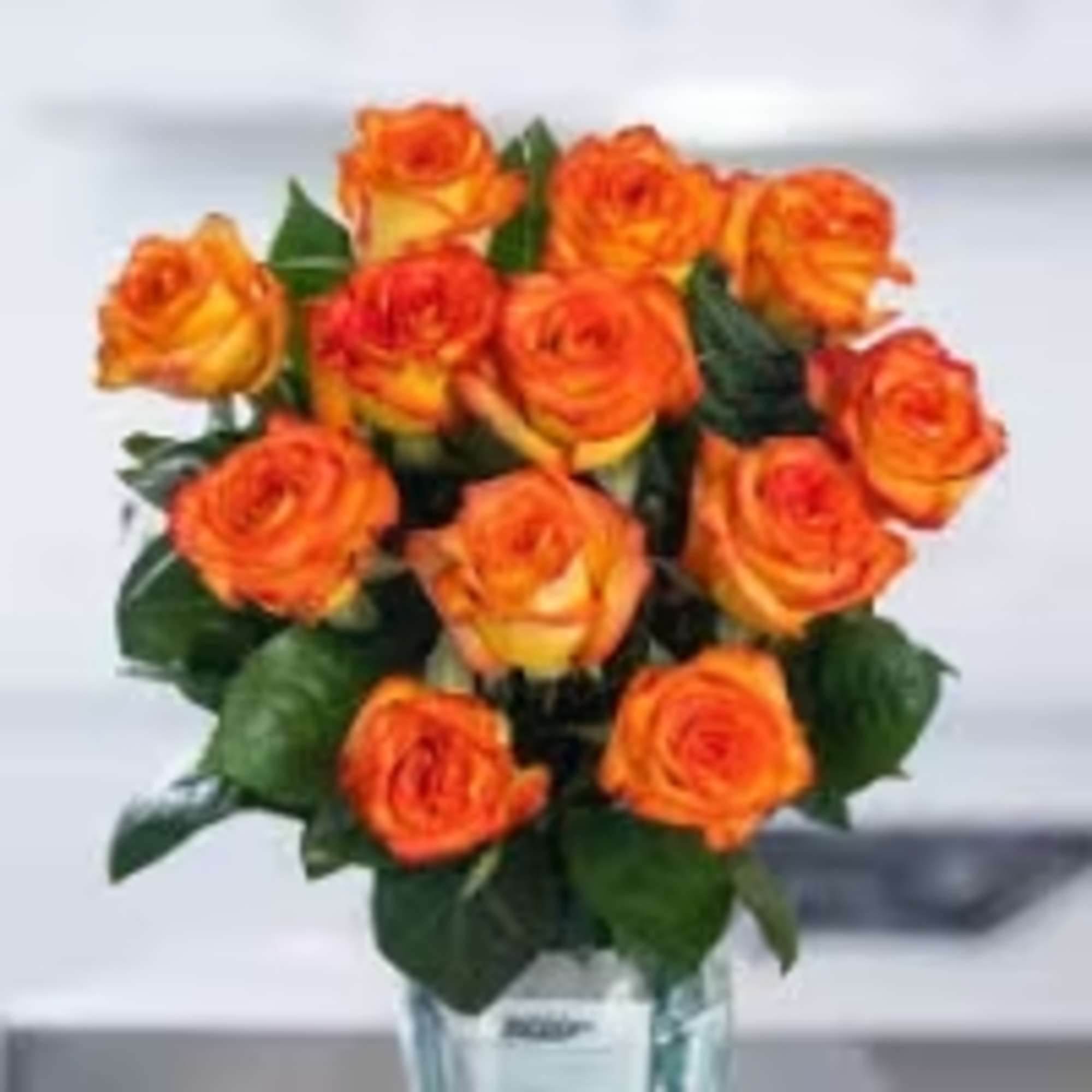 12 Orange Roses arranged in a vase