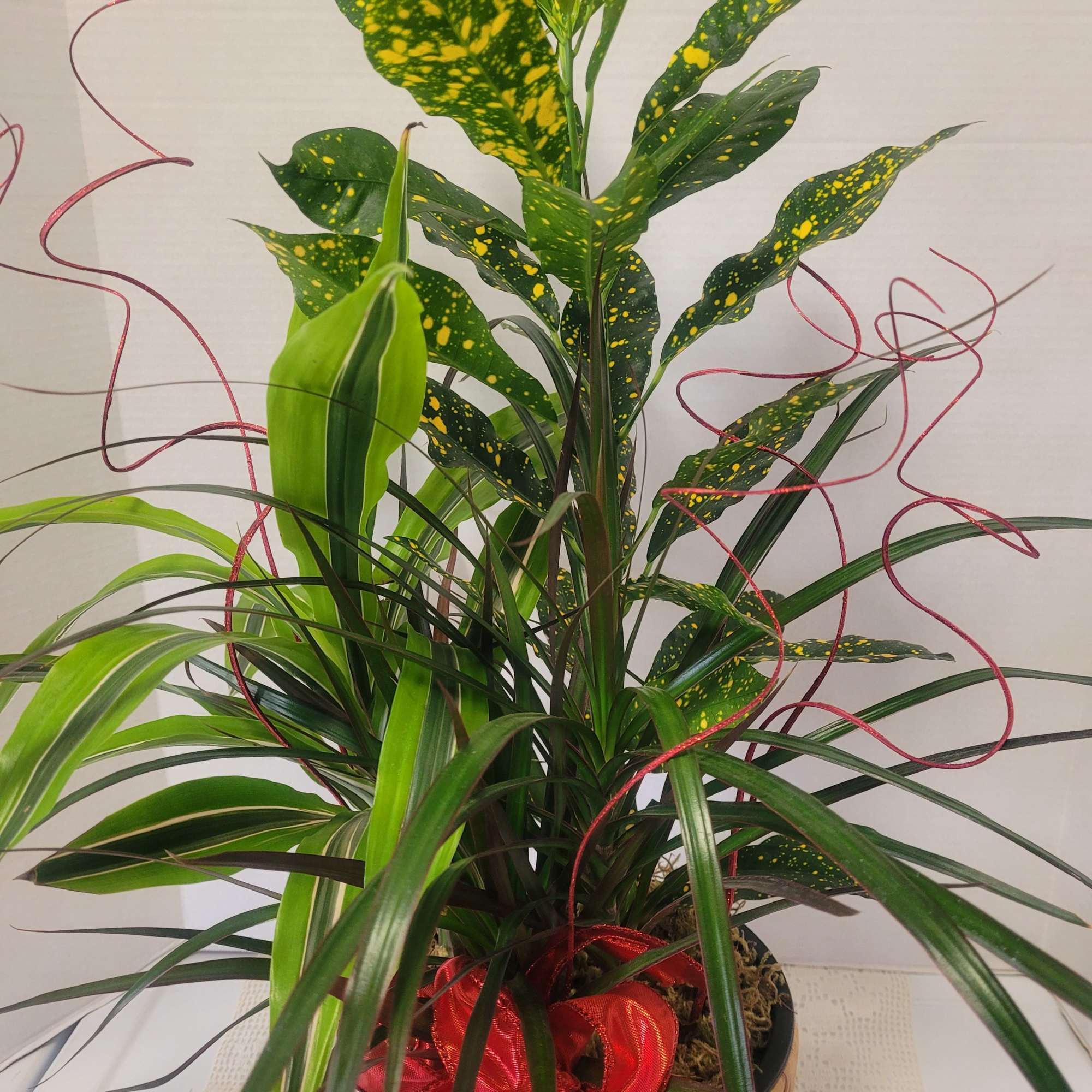 This wicker cache pot features a luscious houseplant mix that stands approximately