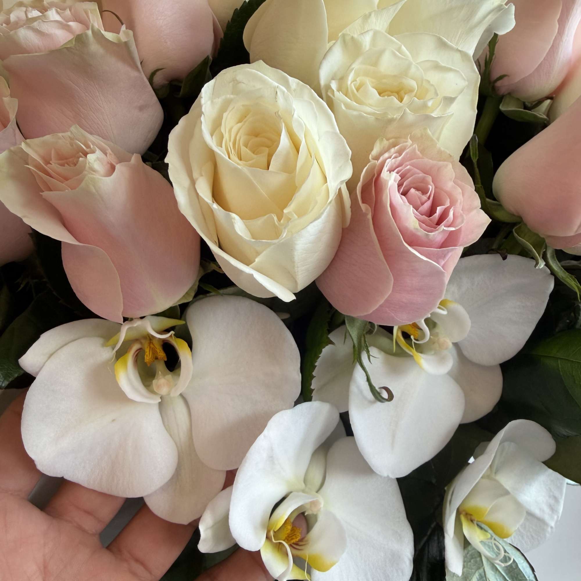 Luxury vase with a favorite touch of pink and white roses, perfectly